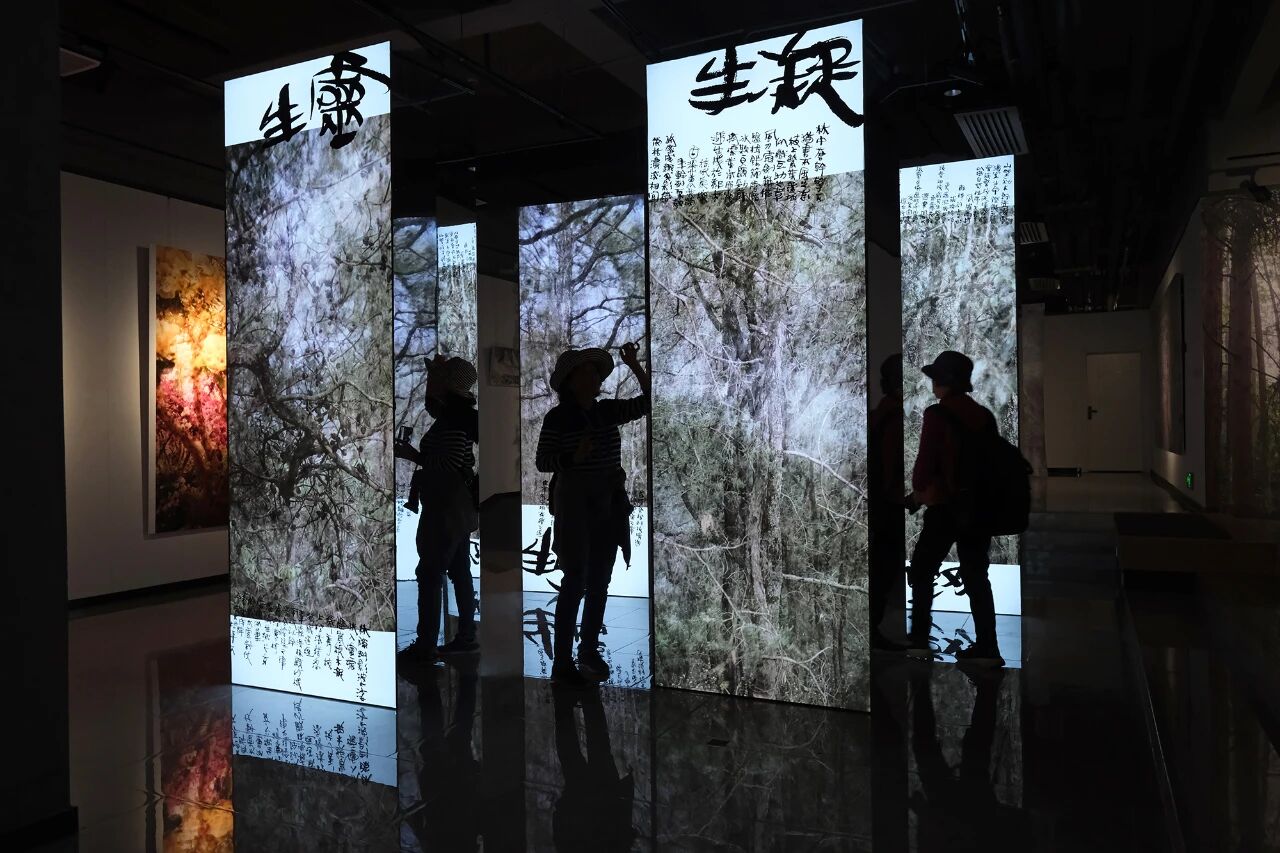 ��Խɽ�����Ի������������й����żҽ硱�����������Ų���Ӱ��չ��ɽˮʤ������Ļ