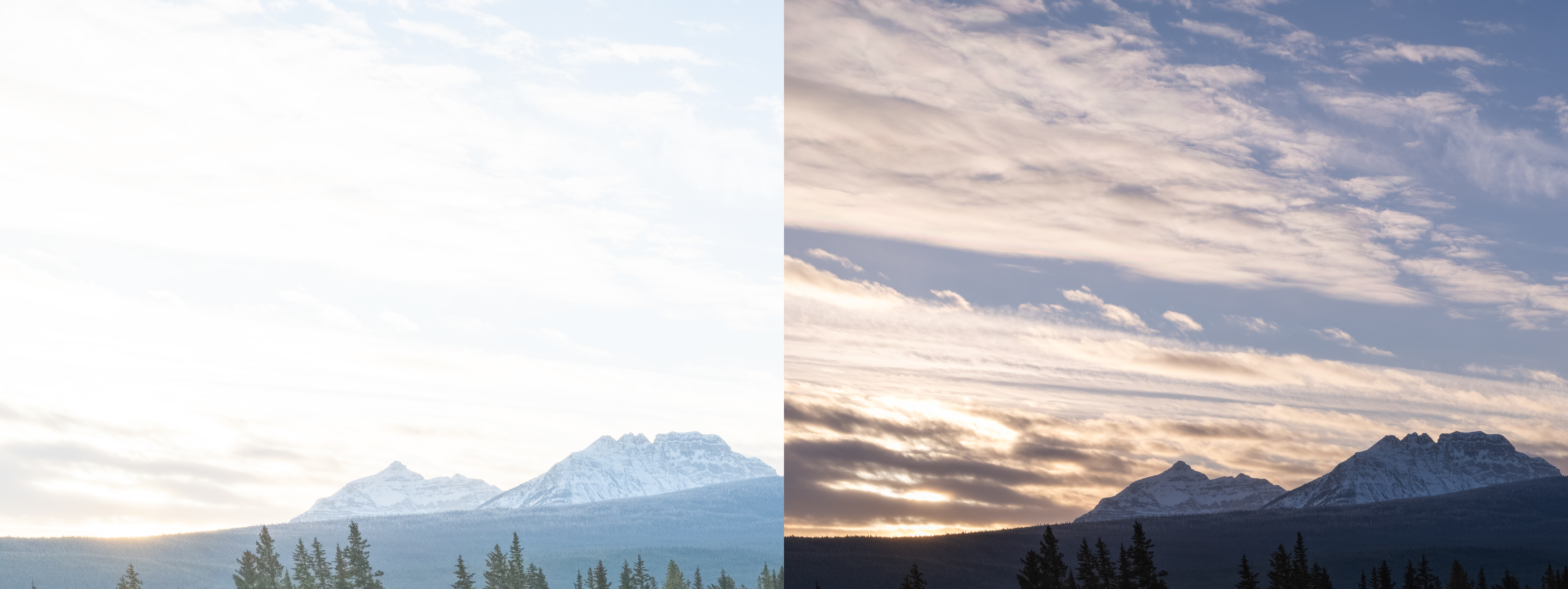 ѩԭ�ϵĹ�Ӱ����  ��ʿGFX100 II