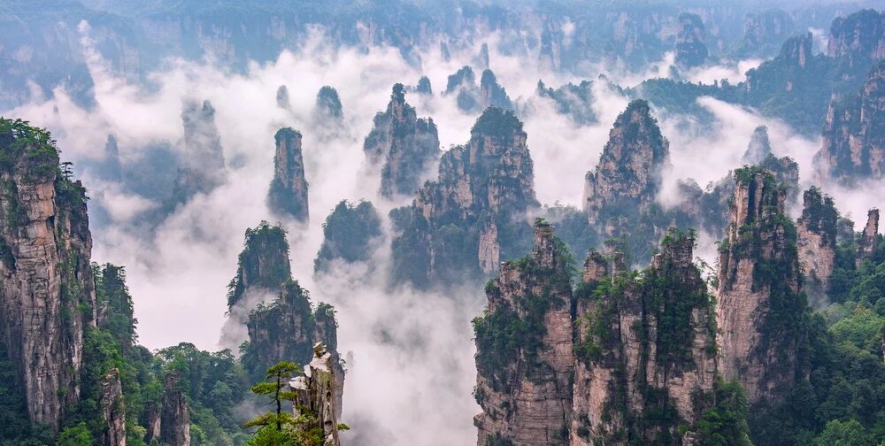 ��Խɽ�����Ի������������й����żҽ硱�����������Ų���Ӱ��չ��ɽˮʤ������Ļ