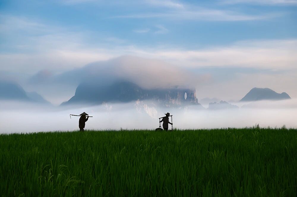 ��Խɽ�����Ի������������й����żҽ硱�����������Ų���Ӱ��չ��ɽˮʤ������Ļ