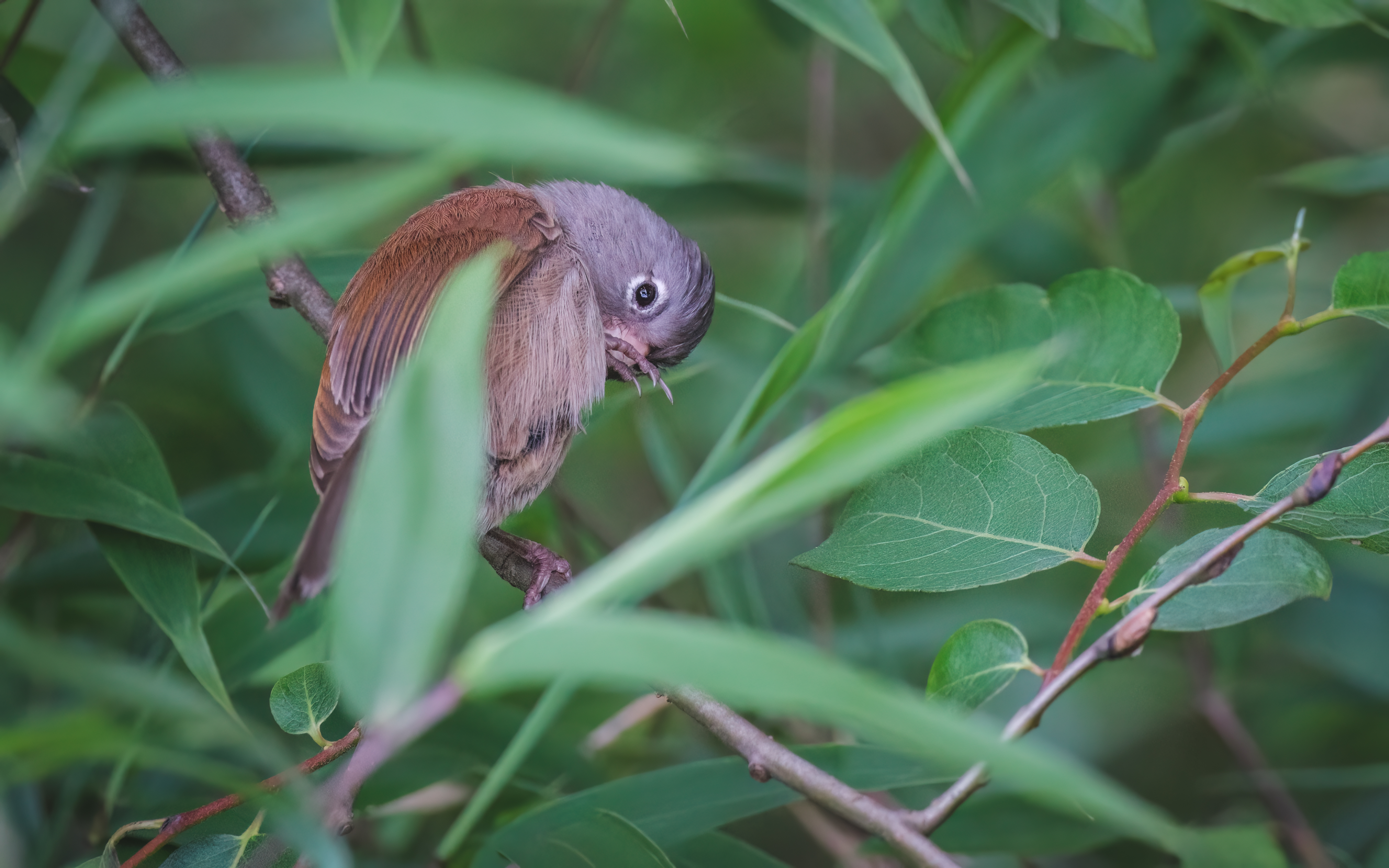 Ÿʿ X-H2S+ XF150-600mm̽Ѱɽּ侫