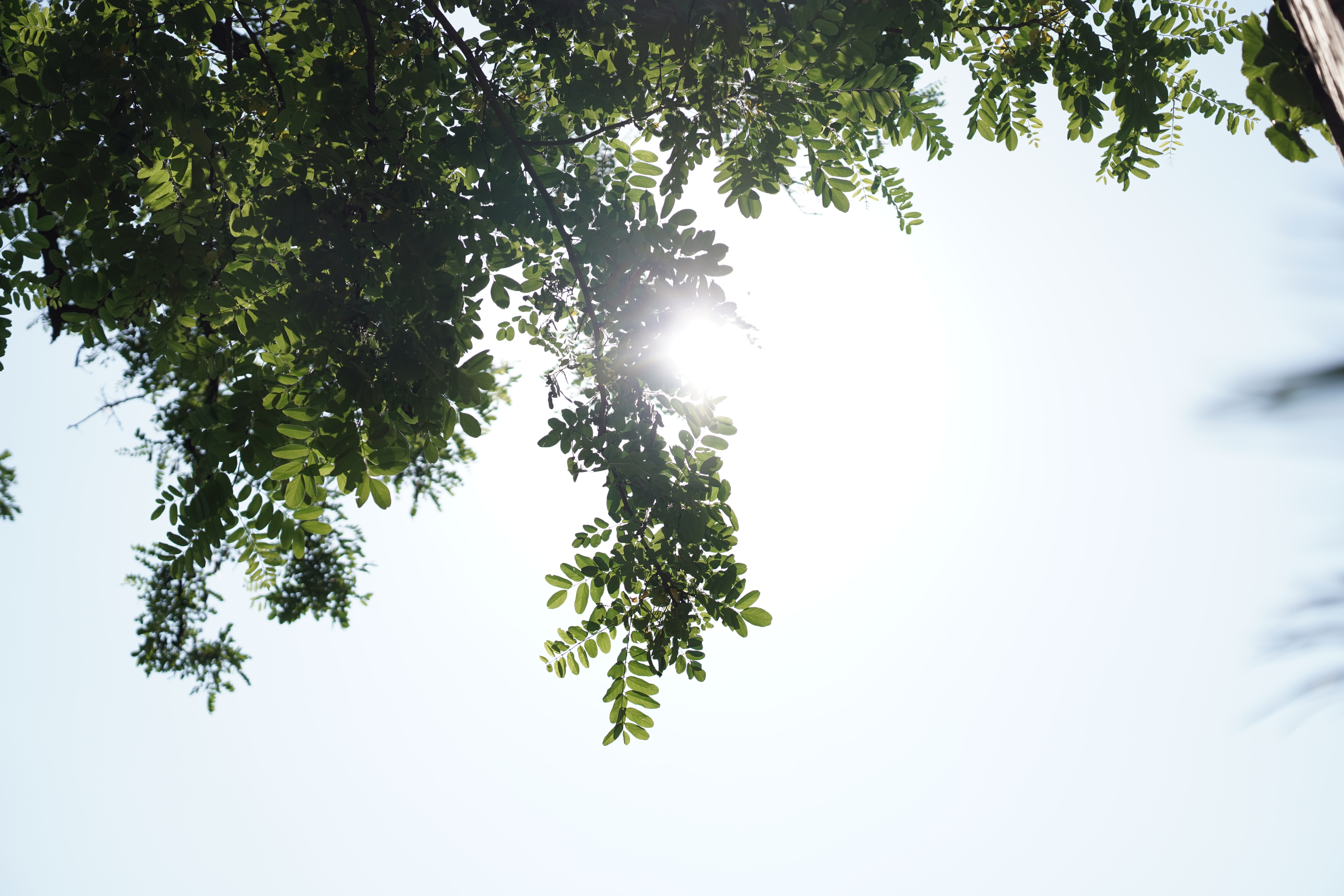 CƼһͷ 17-40mm F1.8 DC | Contemporary