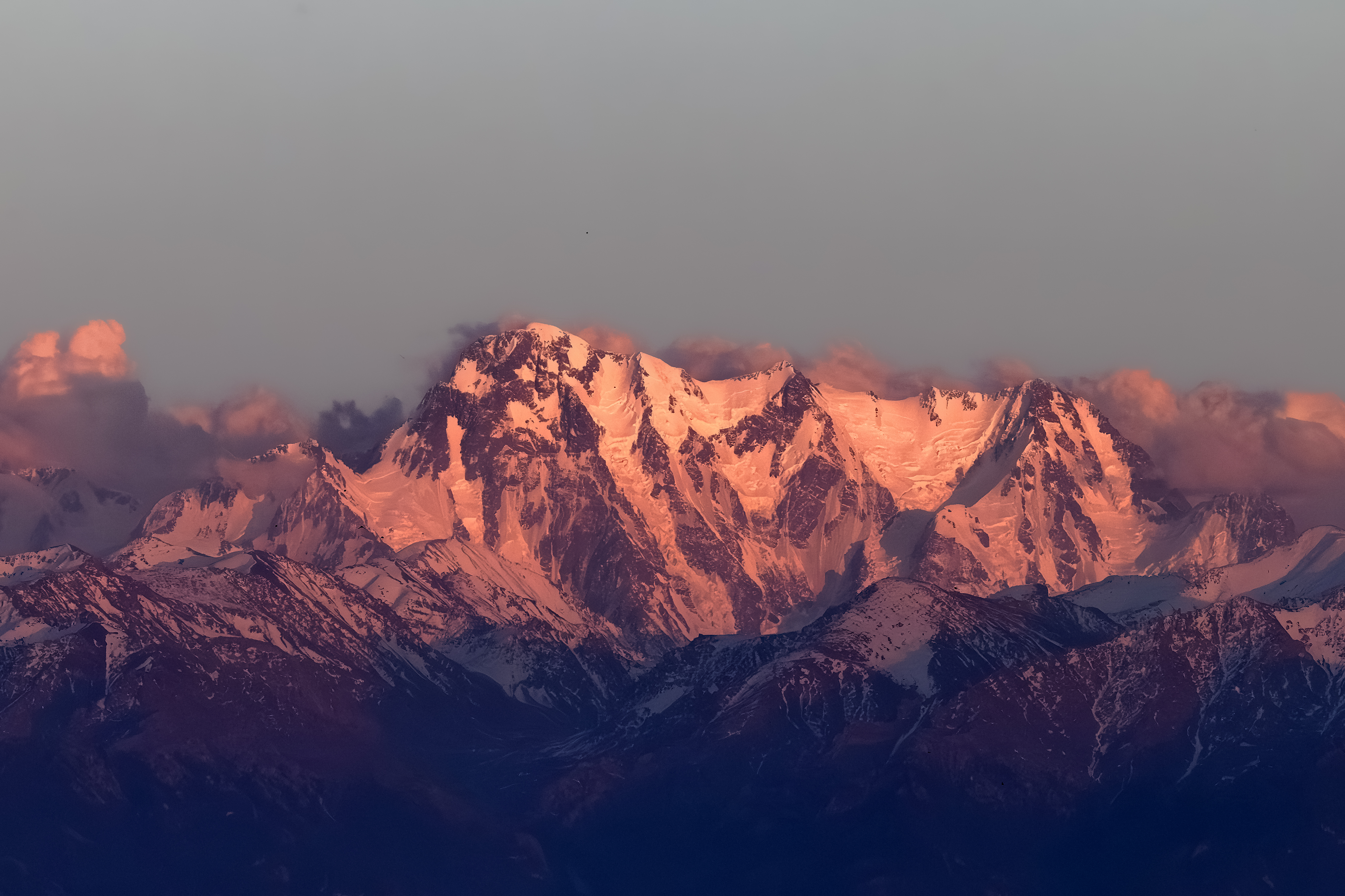 ���ż���EOS R5 Mark II��RF100-500mm F4.5-7.1 L IS USM ��ͷȥ�½�����