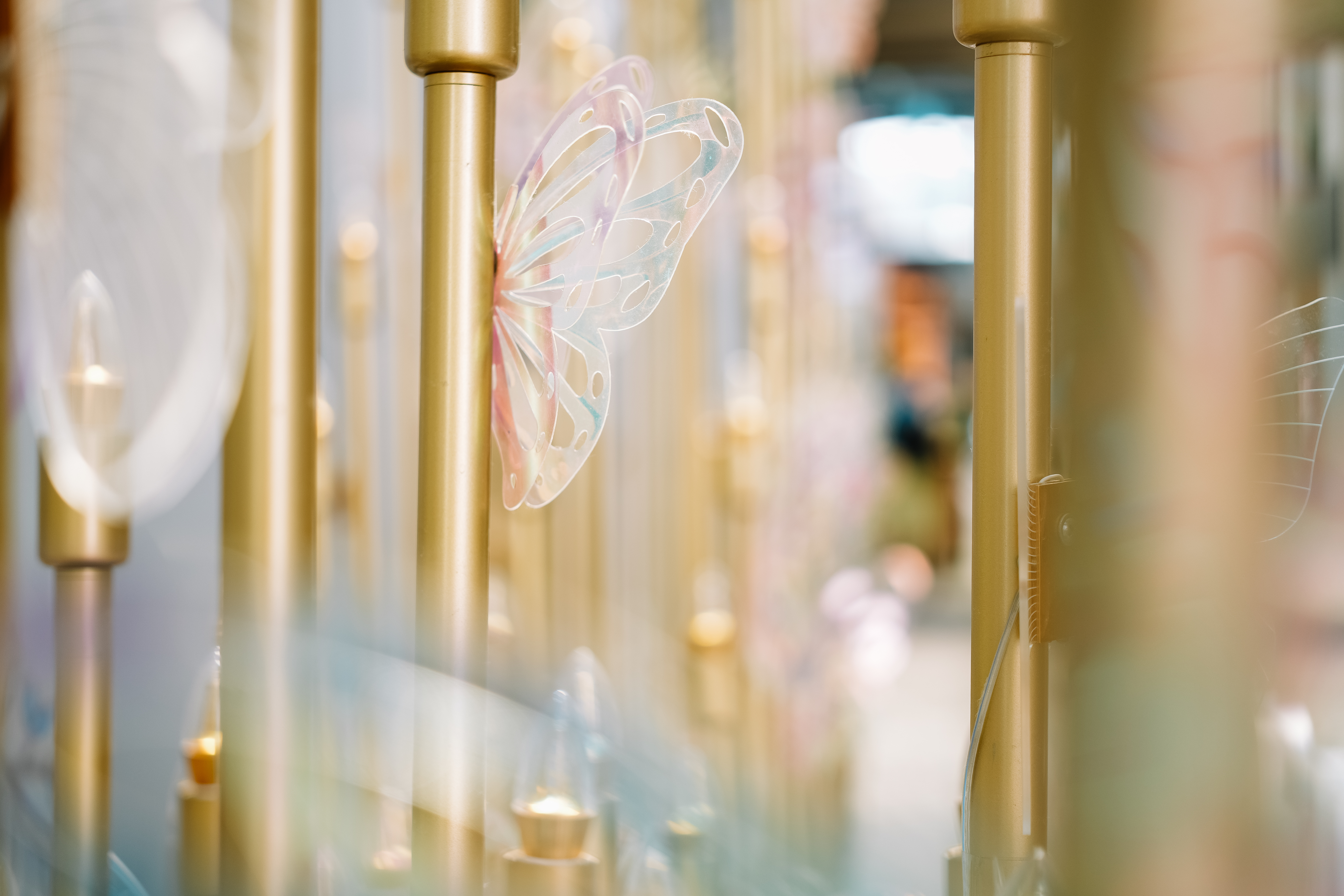 CƼһͷ 17-40mm F1.8 DC | Art