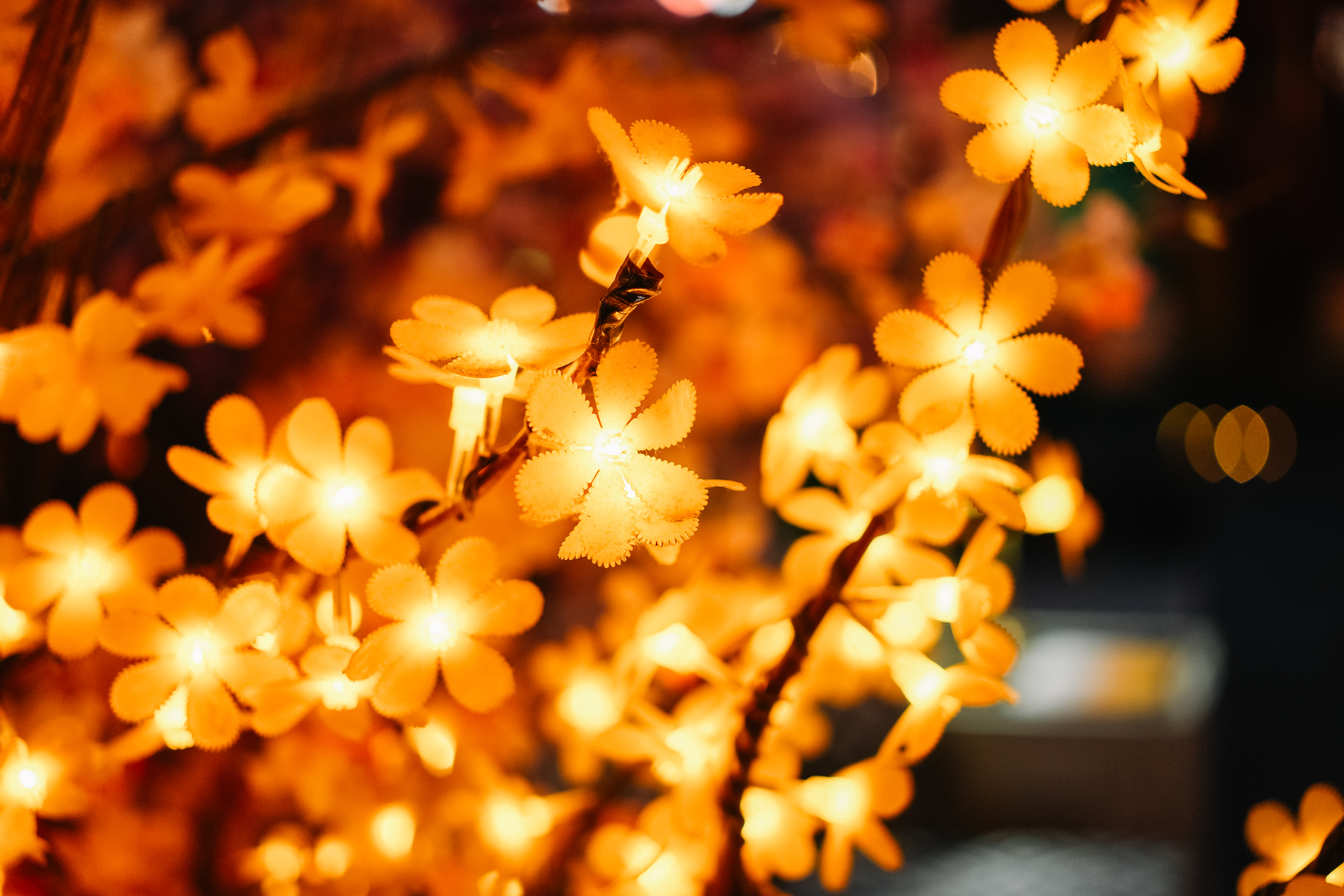 CƼһͷ 17-40mm F1.8 DC | Art