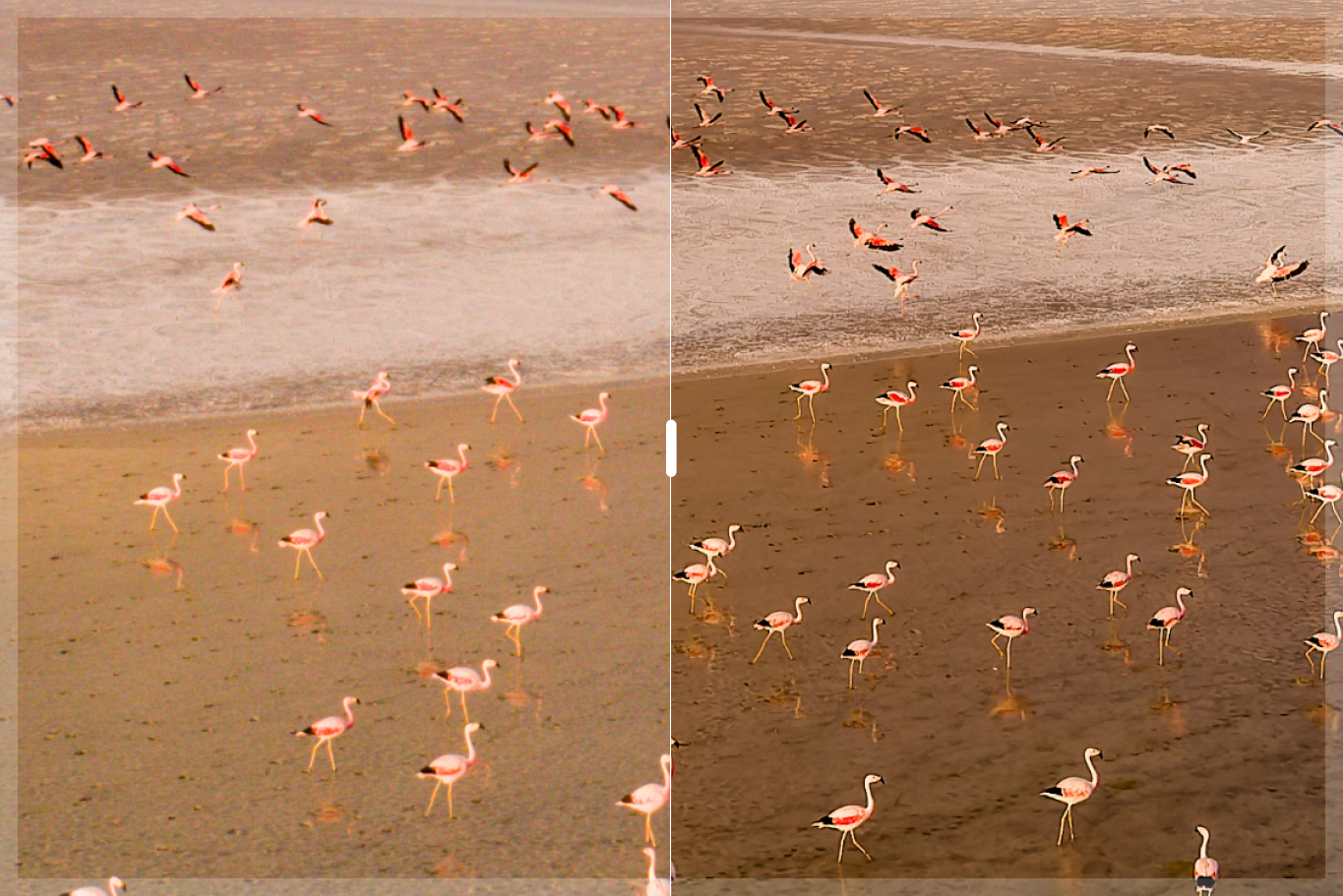 DxO PureRAW 6��DeepPRIME XD3���¶���ͼ��Ʒ�ʣ����������DNG�ļ����