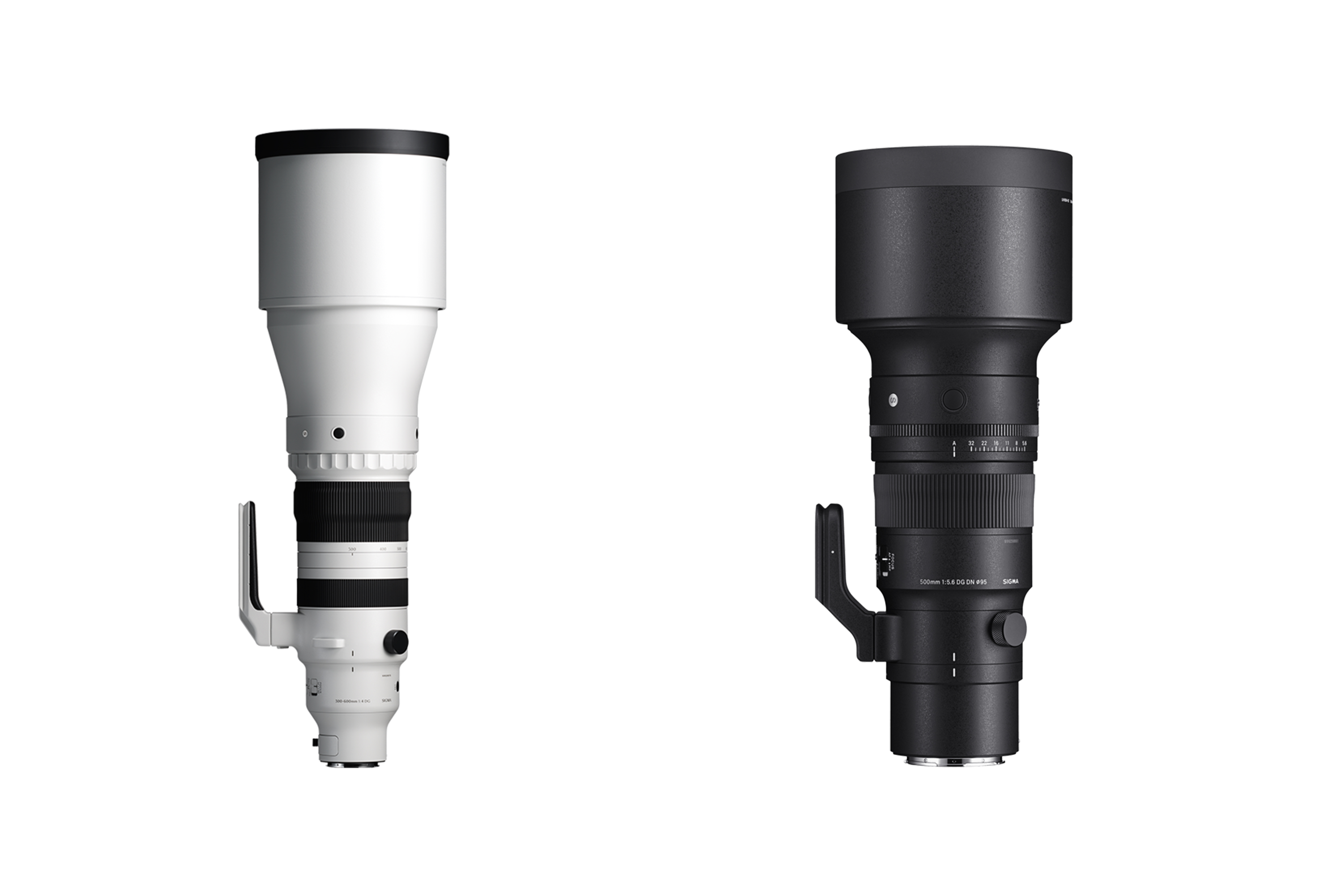 ����-�ý��ĳ�Ϊ�����ߵĻ��