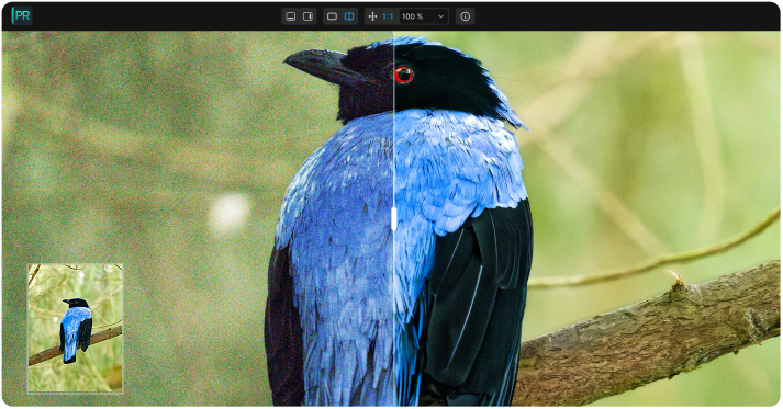 DxO PureRAW 6��DeepPRIME XD3���¶���ͼ��Ʒ�ʣ����������DNG�ļ����