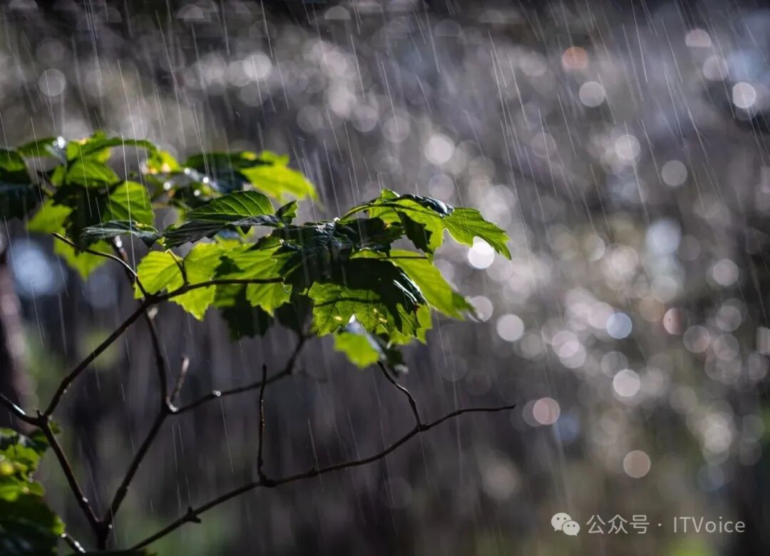 ����1500Ԫ���������һ���ʺ�������΢��ʹ�õ��ֶ���ͷȺ