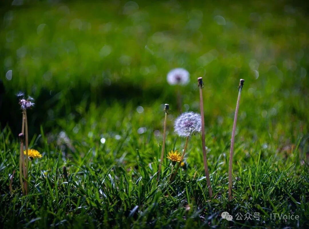 ����1500Ԫ���������һ���ʺ�������΢��ʹ�õ��ֶ���ͷȺ