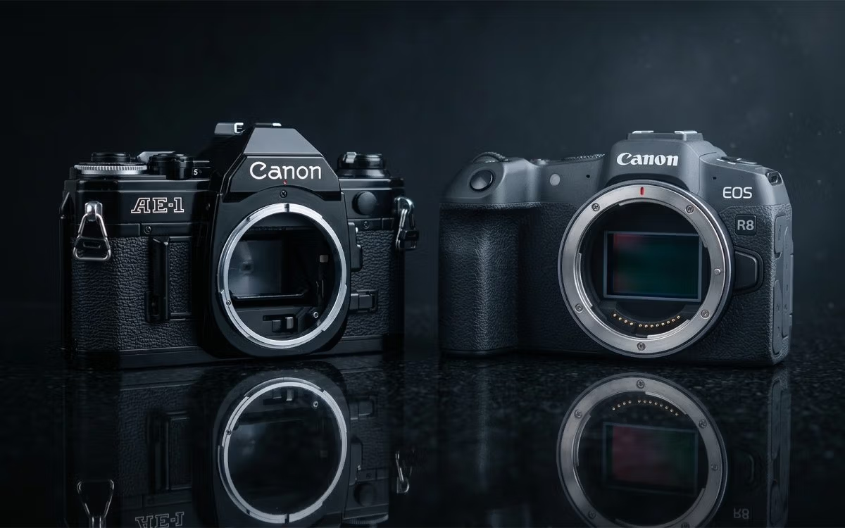 ���ż���EOS R8 Mark II��8��ĩ������������Ƴ��������