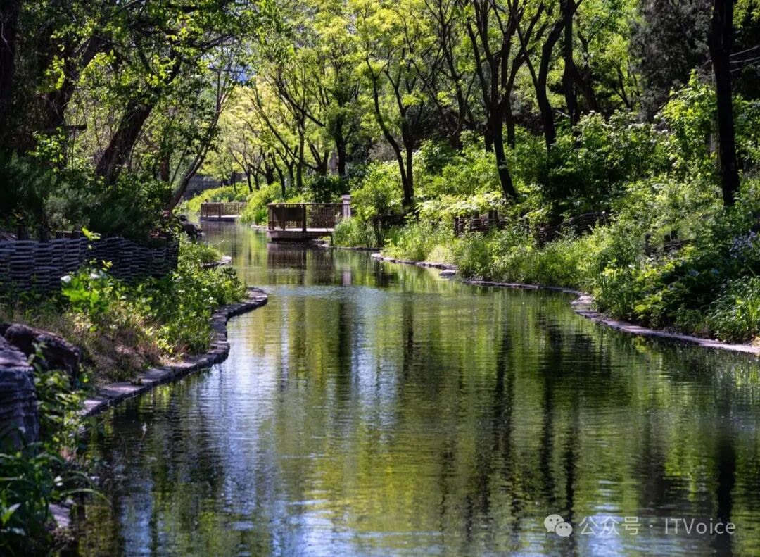 ����1500Ԫ���������һ���ʺ�������΢��ʹ�õ��ֶ���ͷȺ