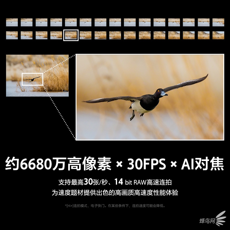 ���ᷢ��Alpha 7R VI ��FE 100-400mm F4.5 GM OSS��ͷ
