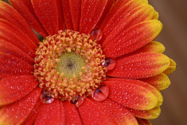 �῵�Ƴ�һ����нϸ߱�Я�Եı佹��ͷ��˶� Z 24-105mm f/4-7.1