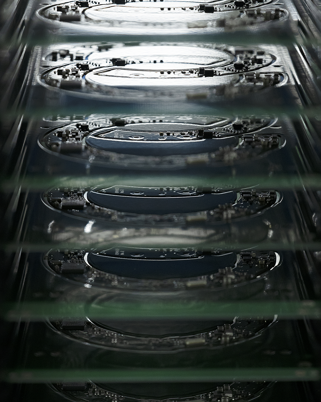 ����-�ý��ĳ�Ϊ�����ߵĻ��