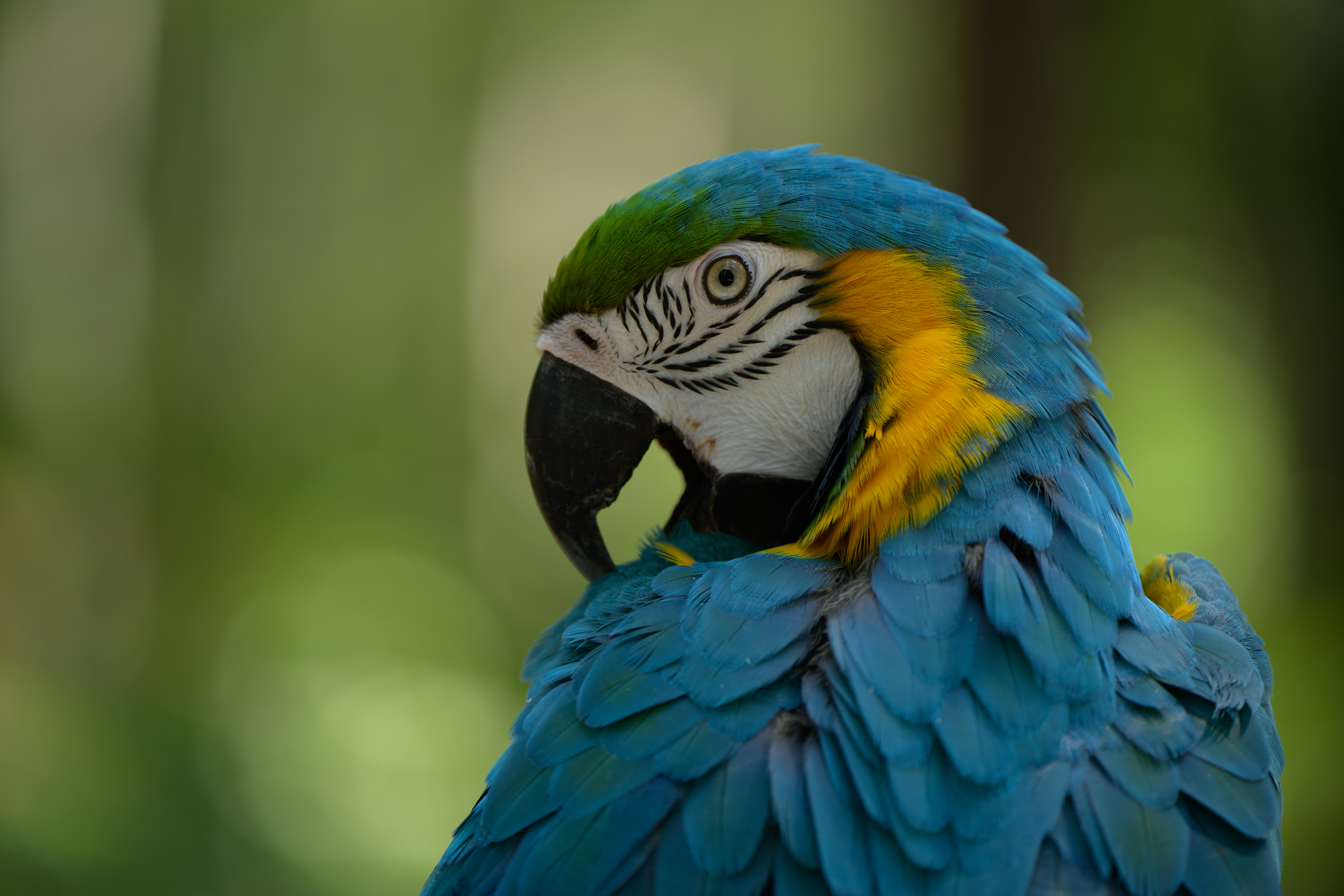 ôĶÿг佹ͷ ˶Z 70-180mm F2.8