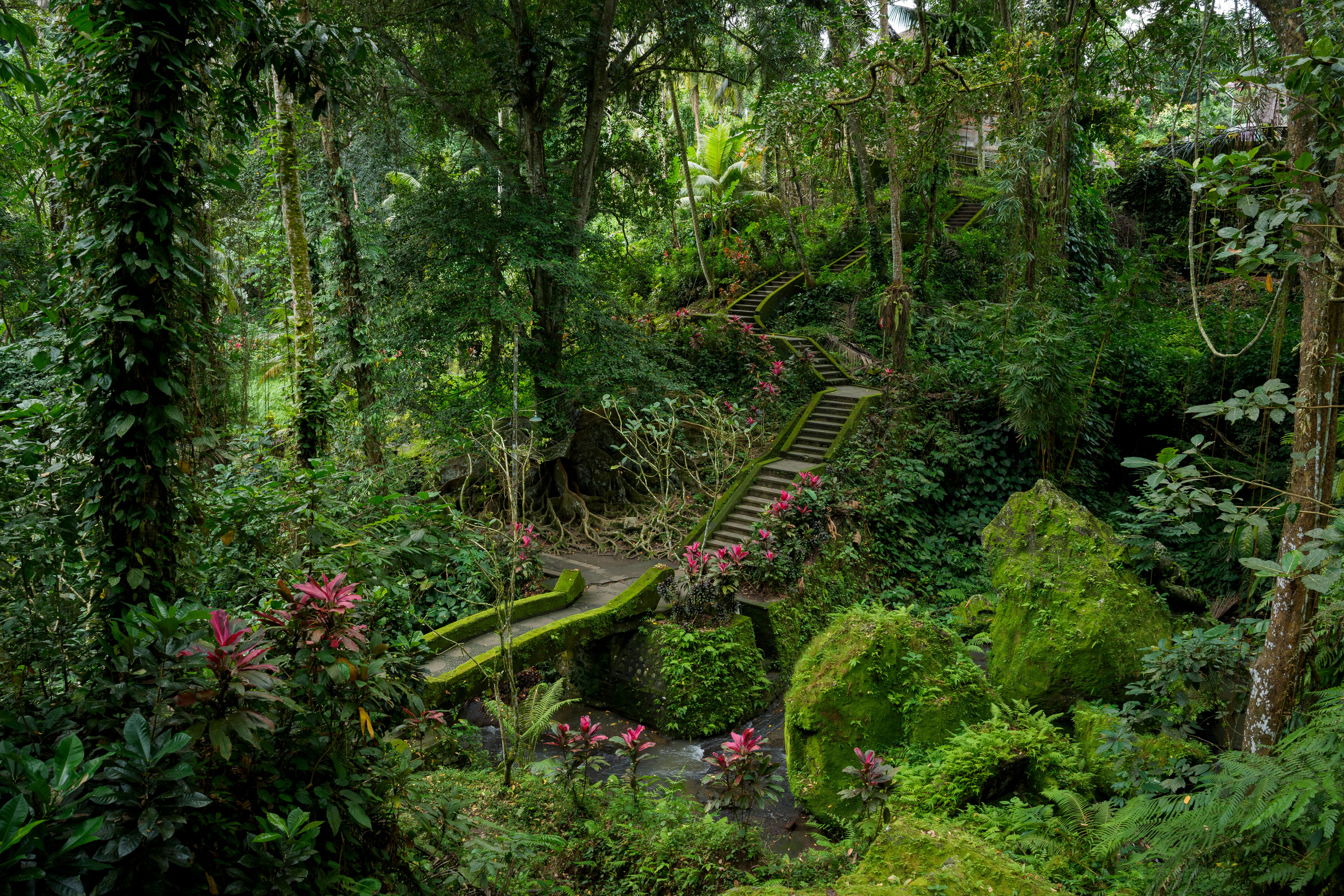 2025����ȫ��25-200mm G2��佹��ͷ����֮��Բ������