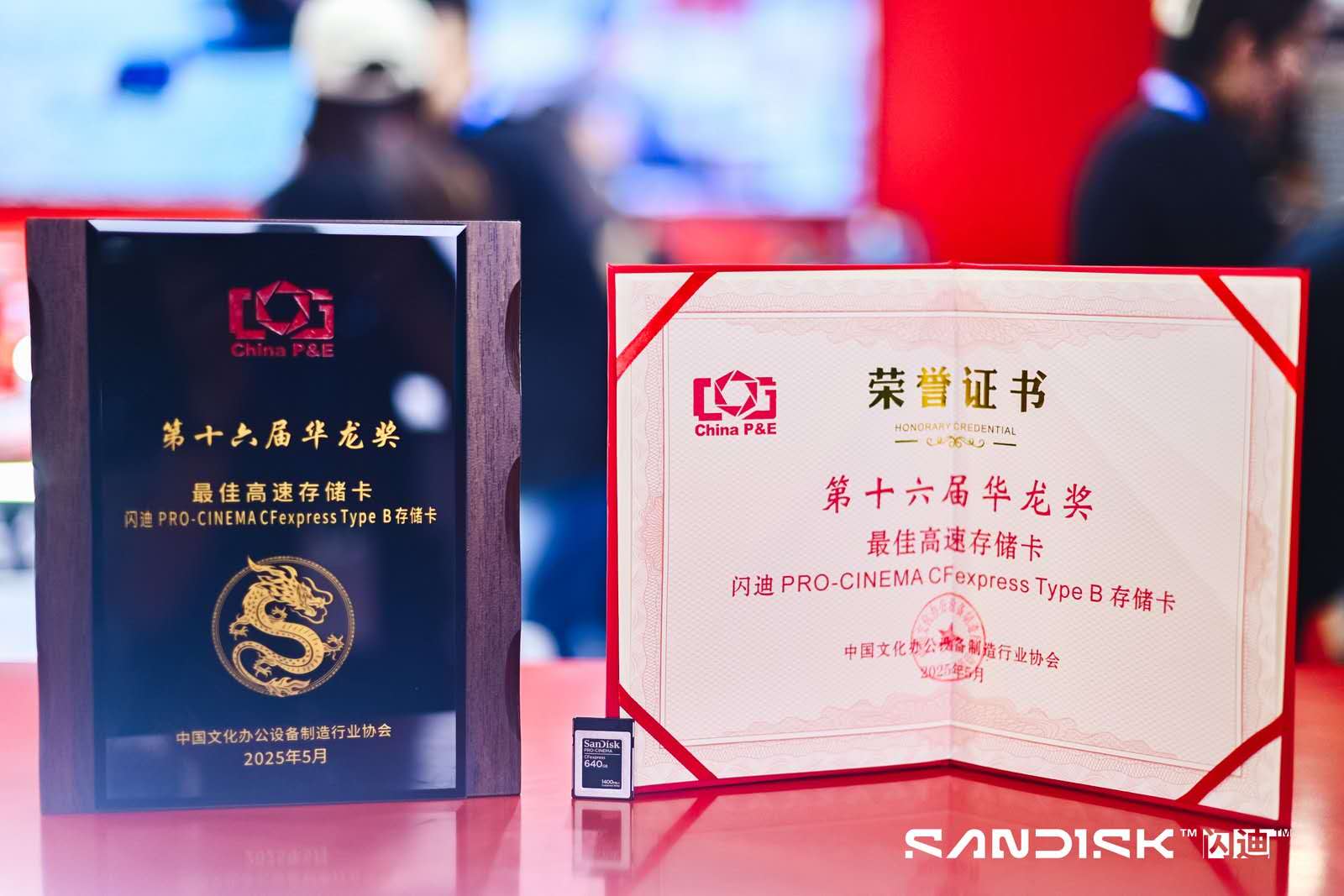 2025 China P&E Ӱ洢ȫͰ