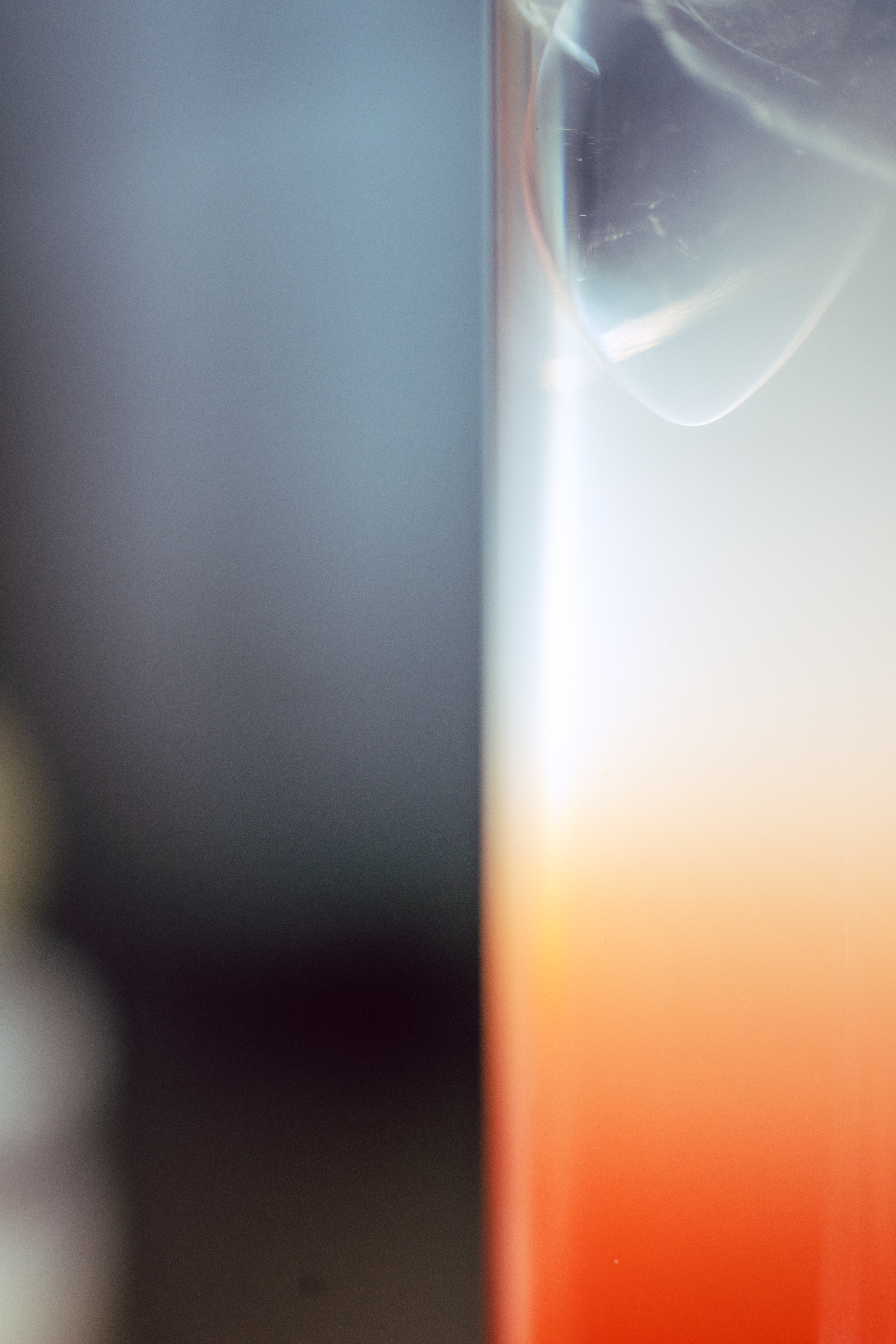 ����FE 100mm F2.8 Macro GM OSS ��ԭ��ʳԭ������ò