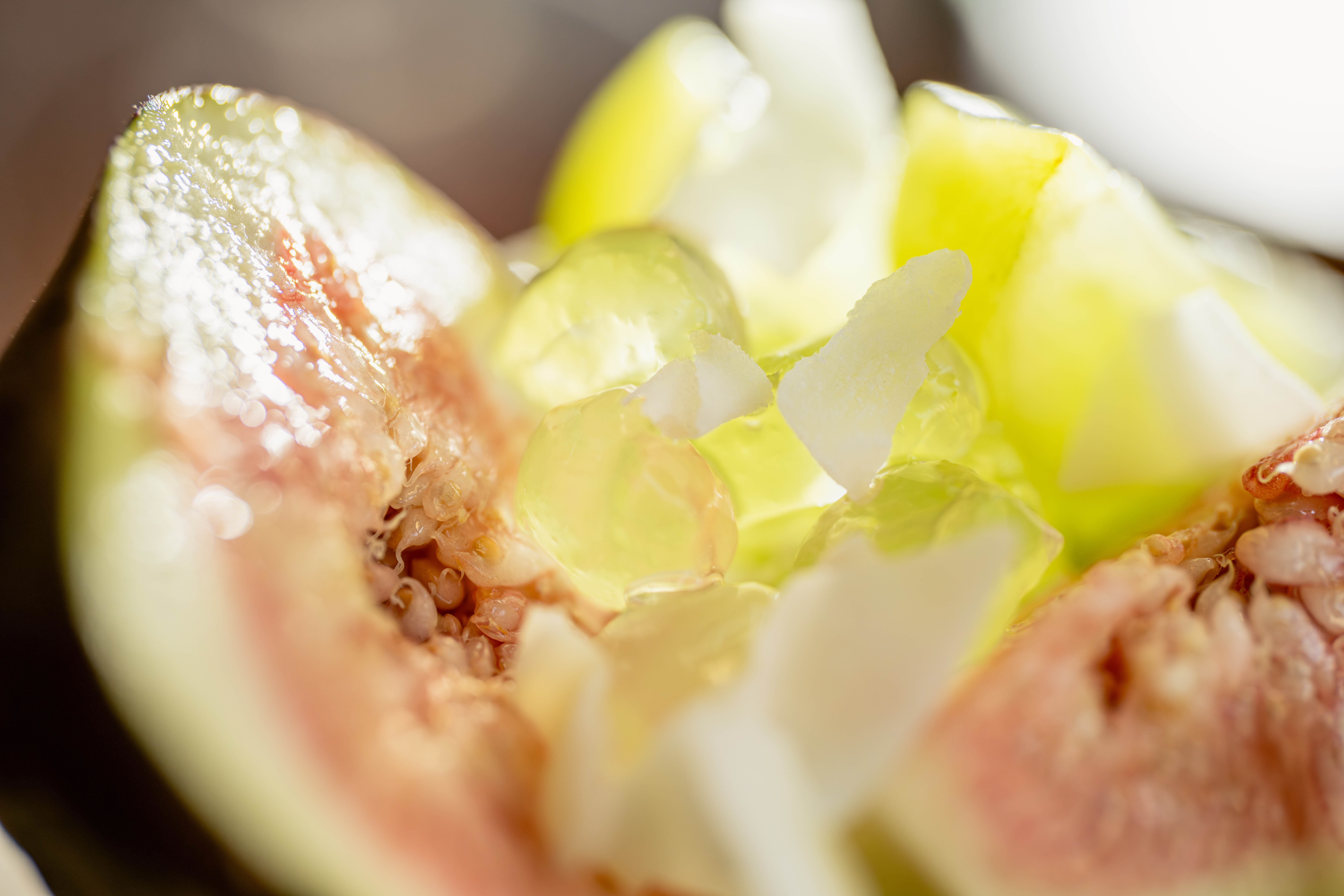 ����FE 100mm F2.8 Macro GM OSS ��ԭ��ʳԭ������ò