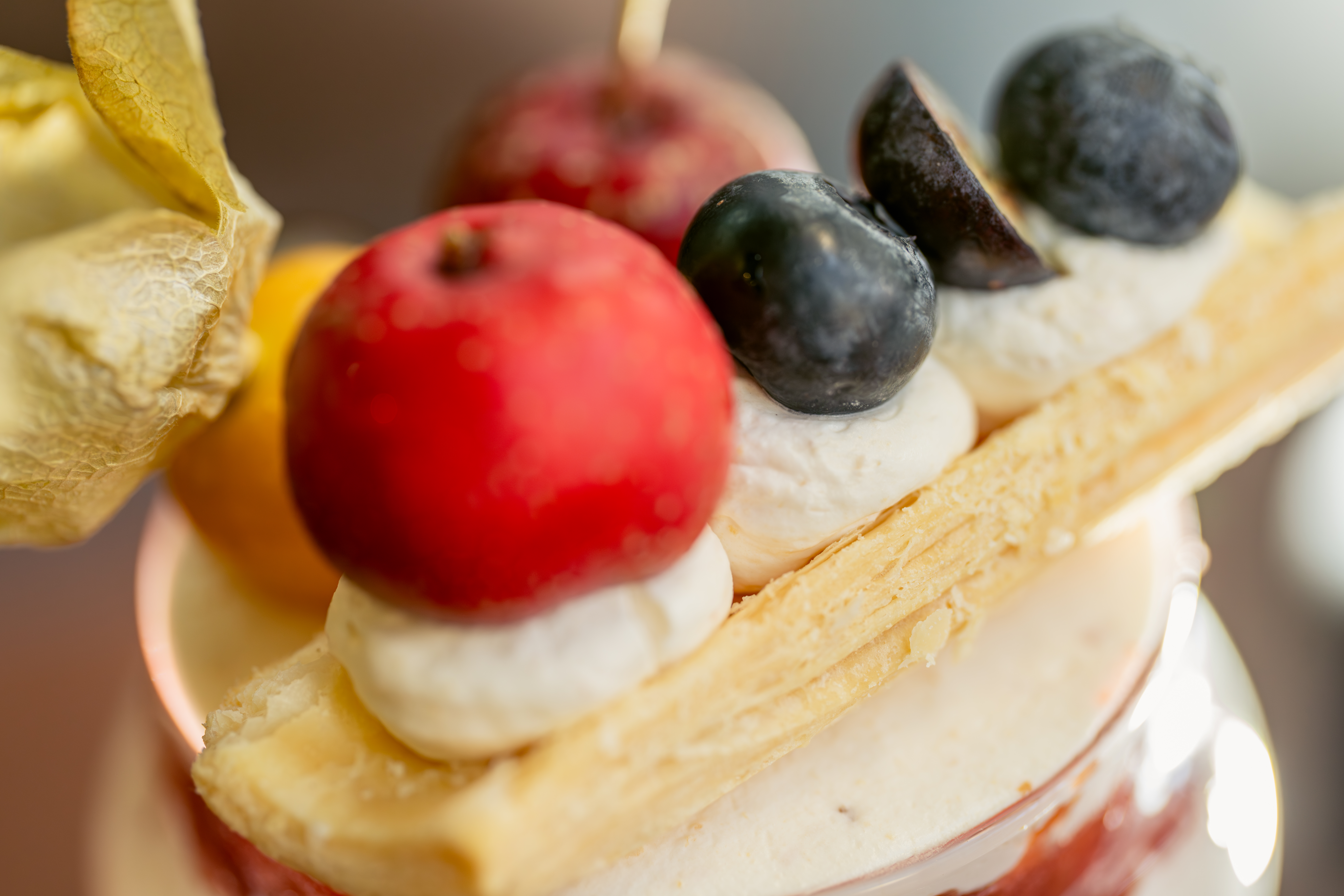 ����FE 100mm F2.8 Macro GM OSS ��ԭ��ʳԭ������ò