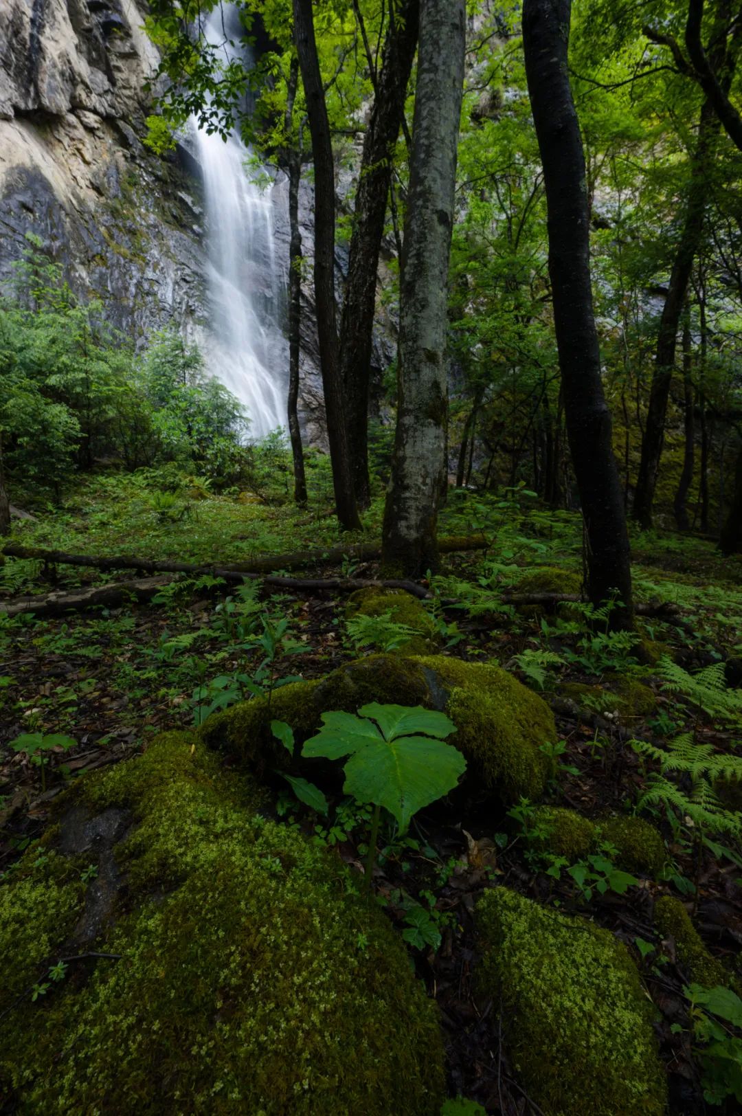 16-28mm F2.8 DG DNʽۣˮï鴨 μ