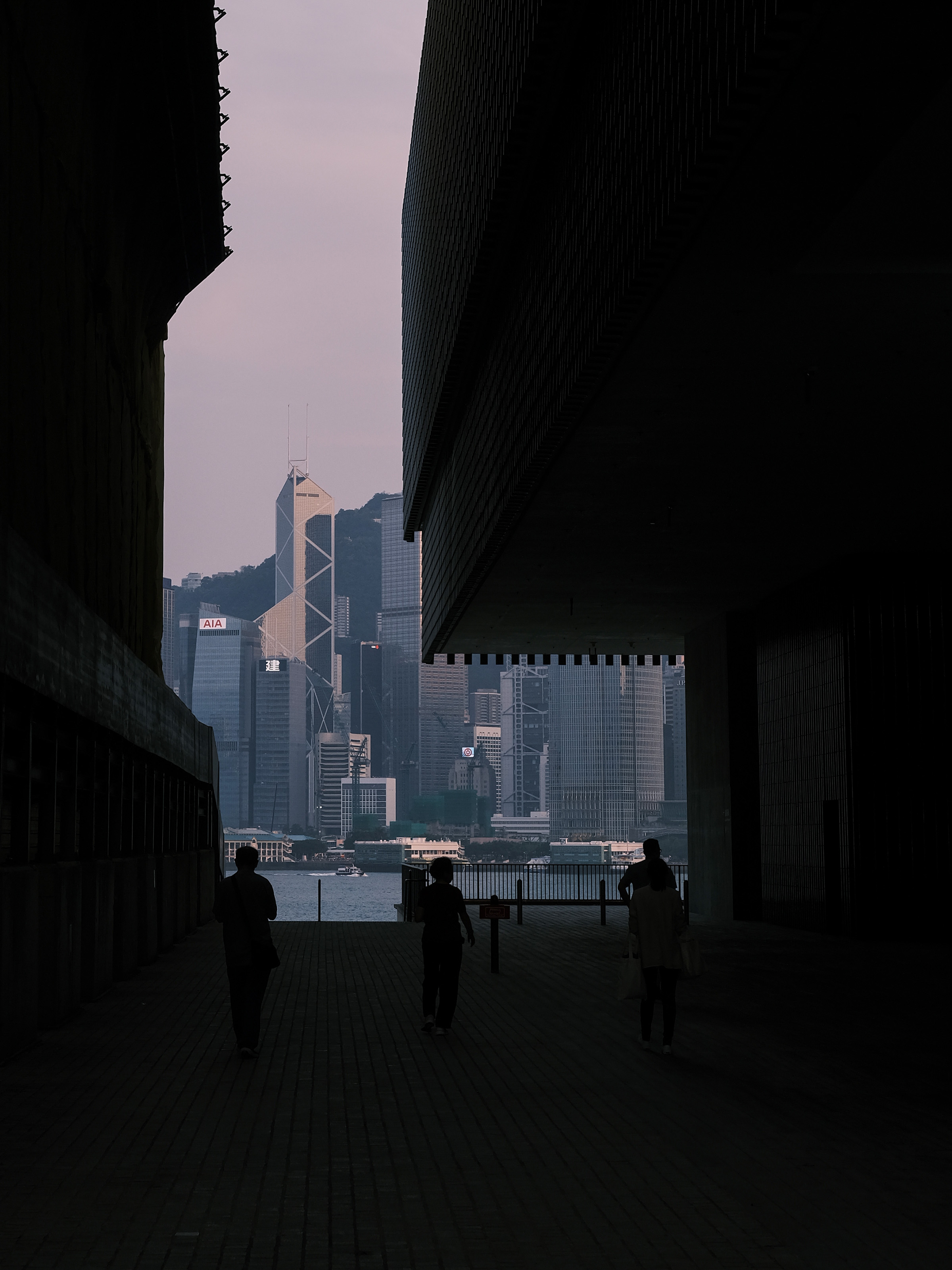 ̽Ϥδ֪ġ۷硱--ŸʿGFX100II