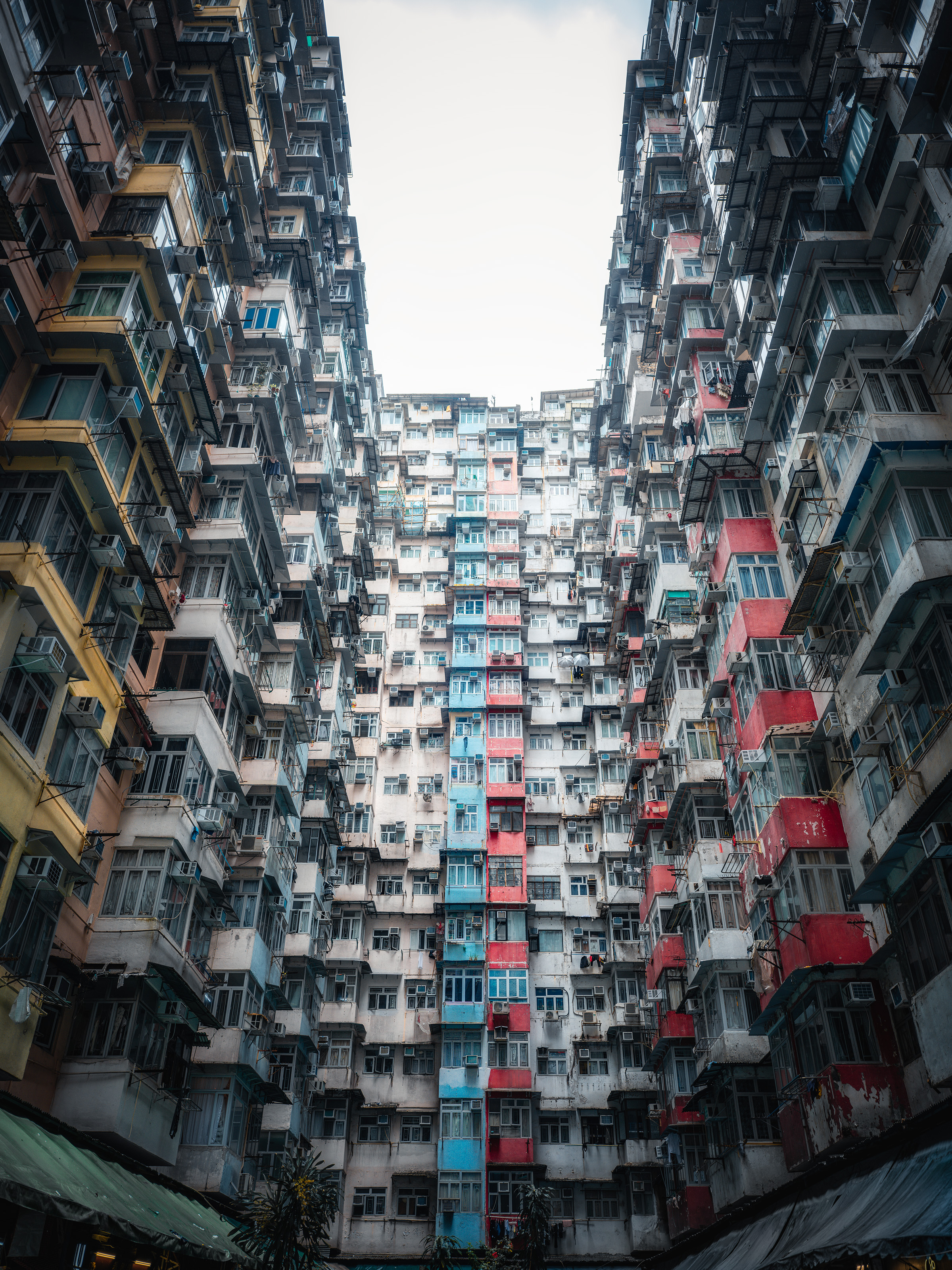 ̽Ϥδ֪ġ۷硱--ŸʿGFX100II