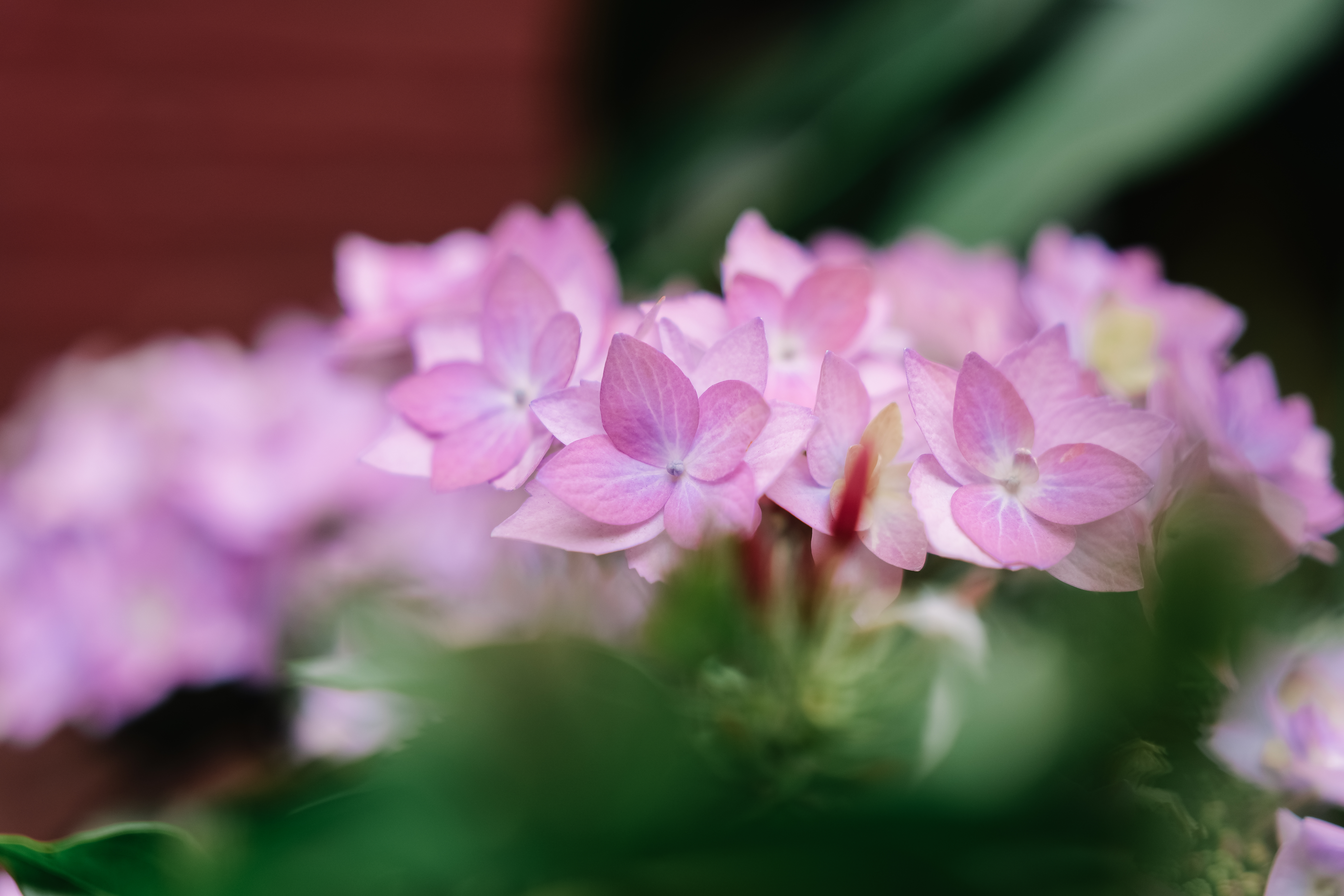 LUMIX S 24-60mm F2.8