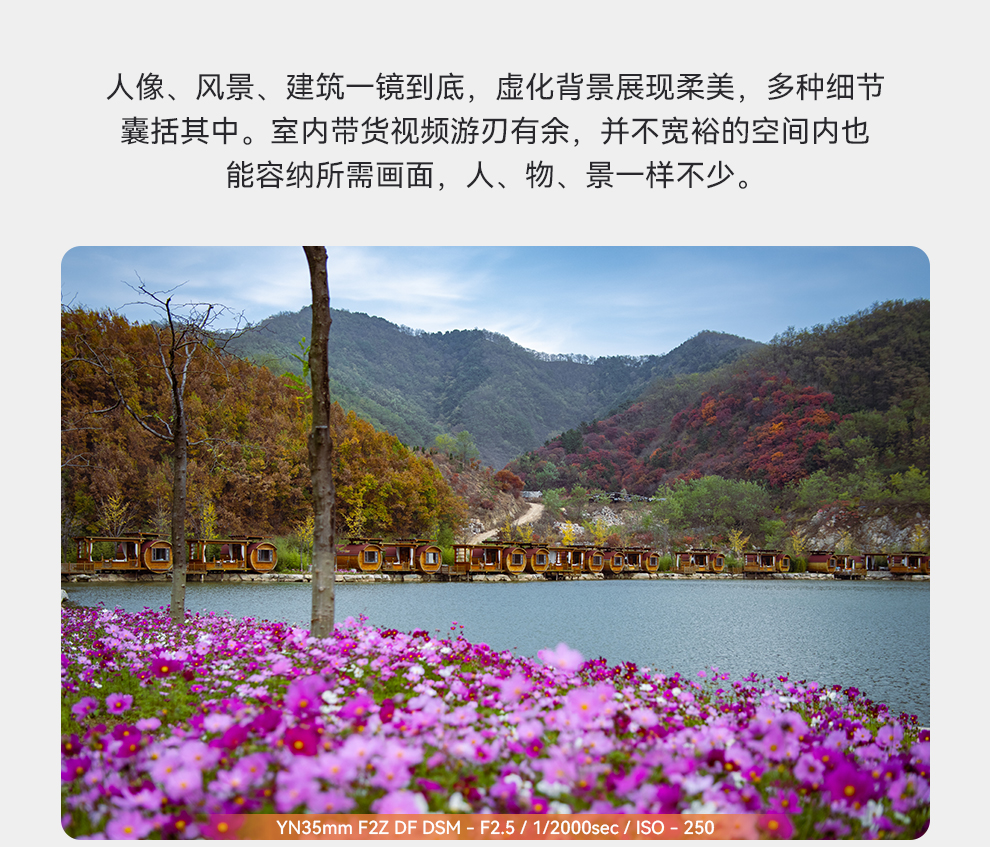 Ʒ | ŵZھͷYN35mm F2Z DF DSMۼ1688Ԫ