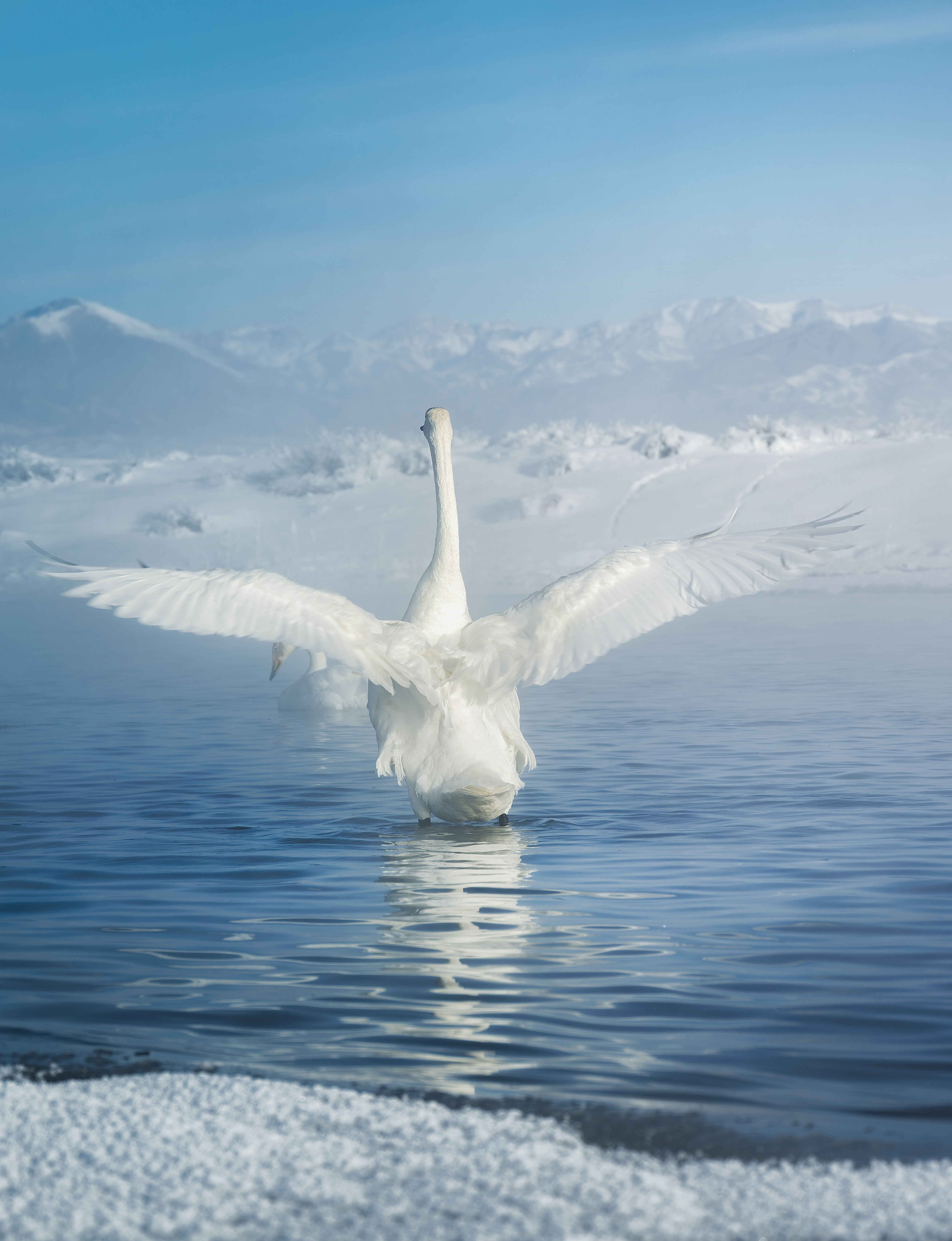 ��ʿGFX100 II��һ�����ؿ�¼�����ؾ�