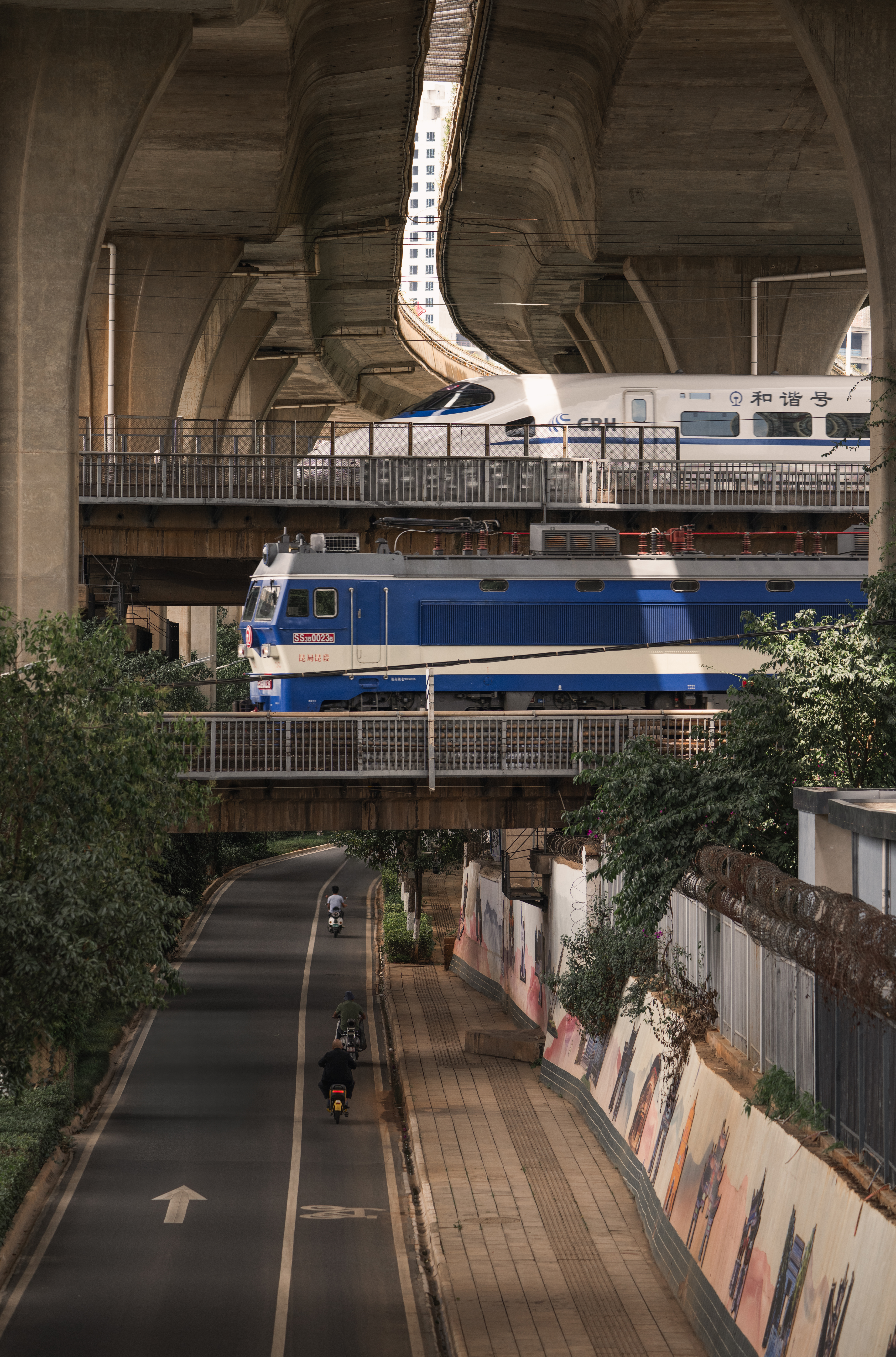 ɹ�����Ӱ���� �῵2025Ӱ�������Я�ذ�������Ļ