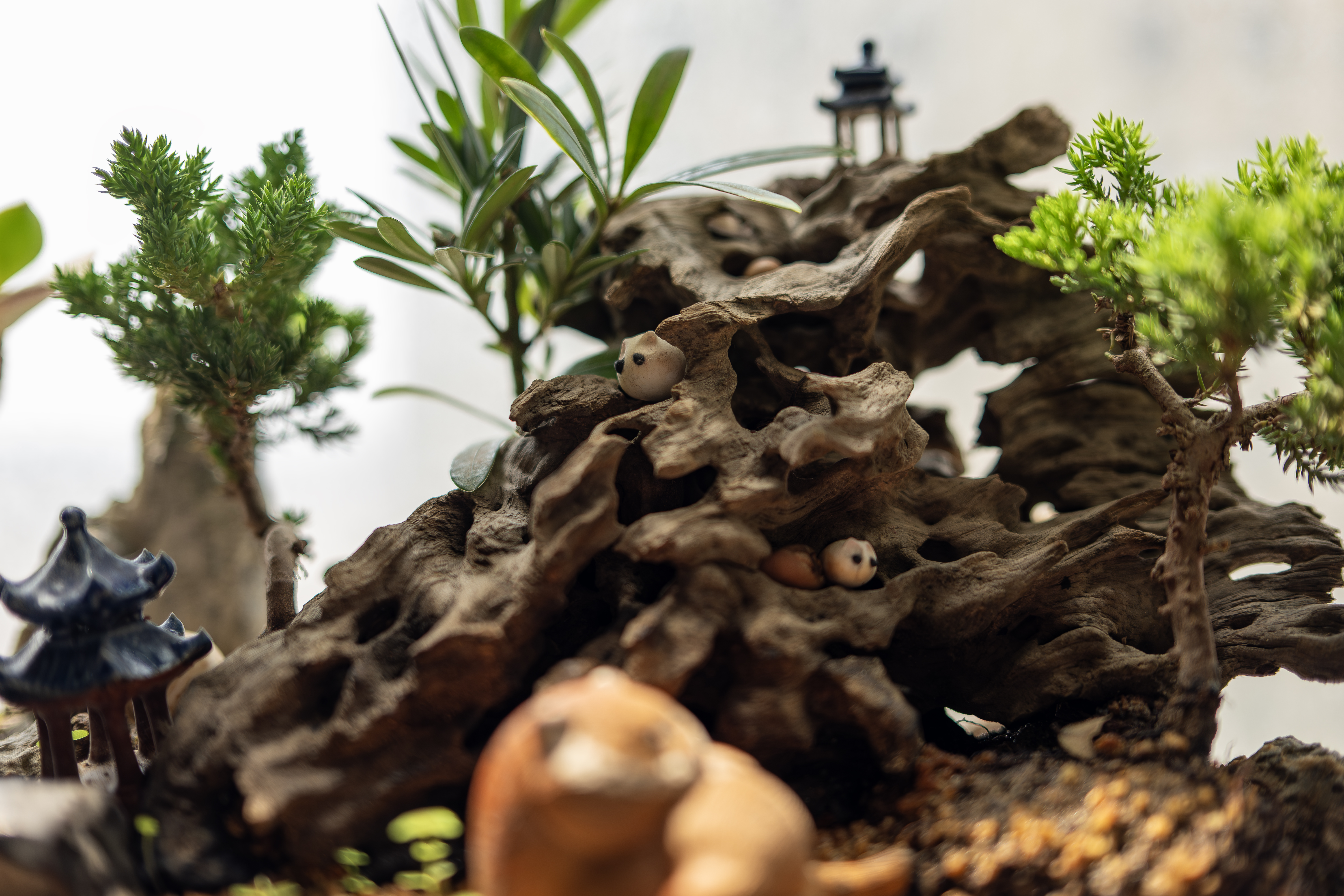 ������еı��ɾ�ͷ ����LUMIX S 40mm f/2��������