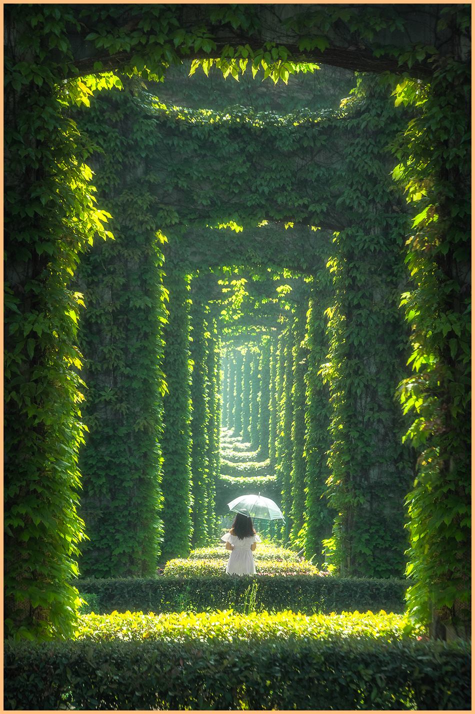 LUMIXӰ���������佱