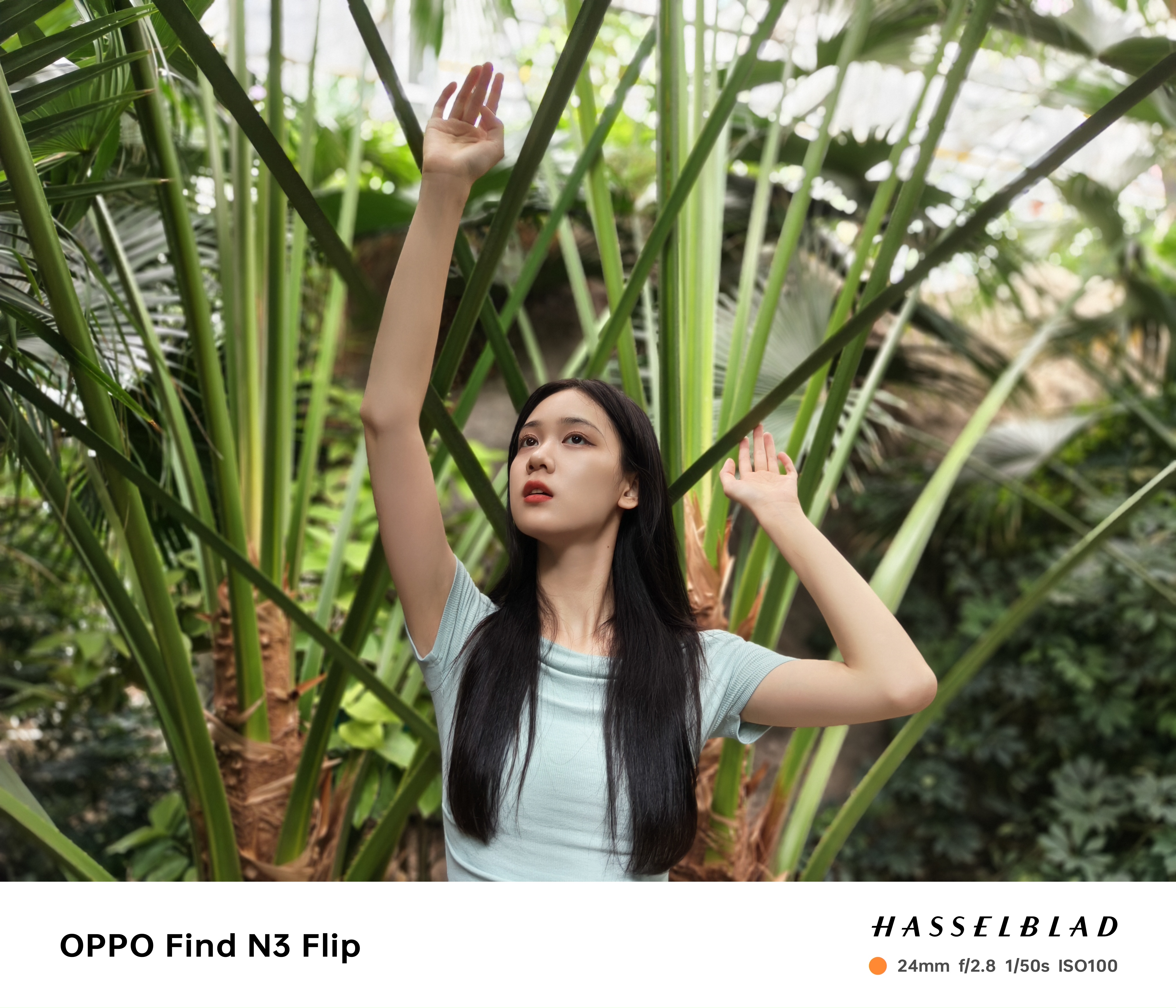 Ӿ⵽ȫܵ콢С۵ OPPO Find N3 Flip