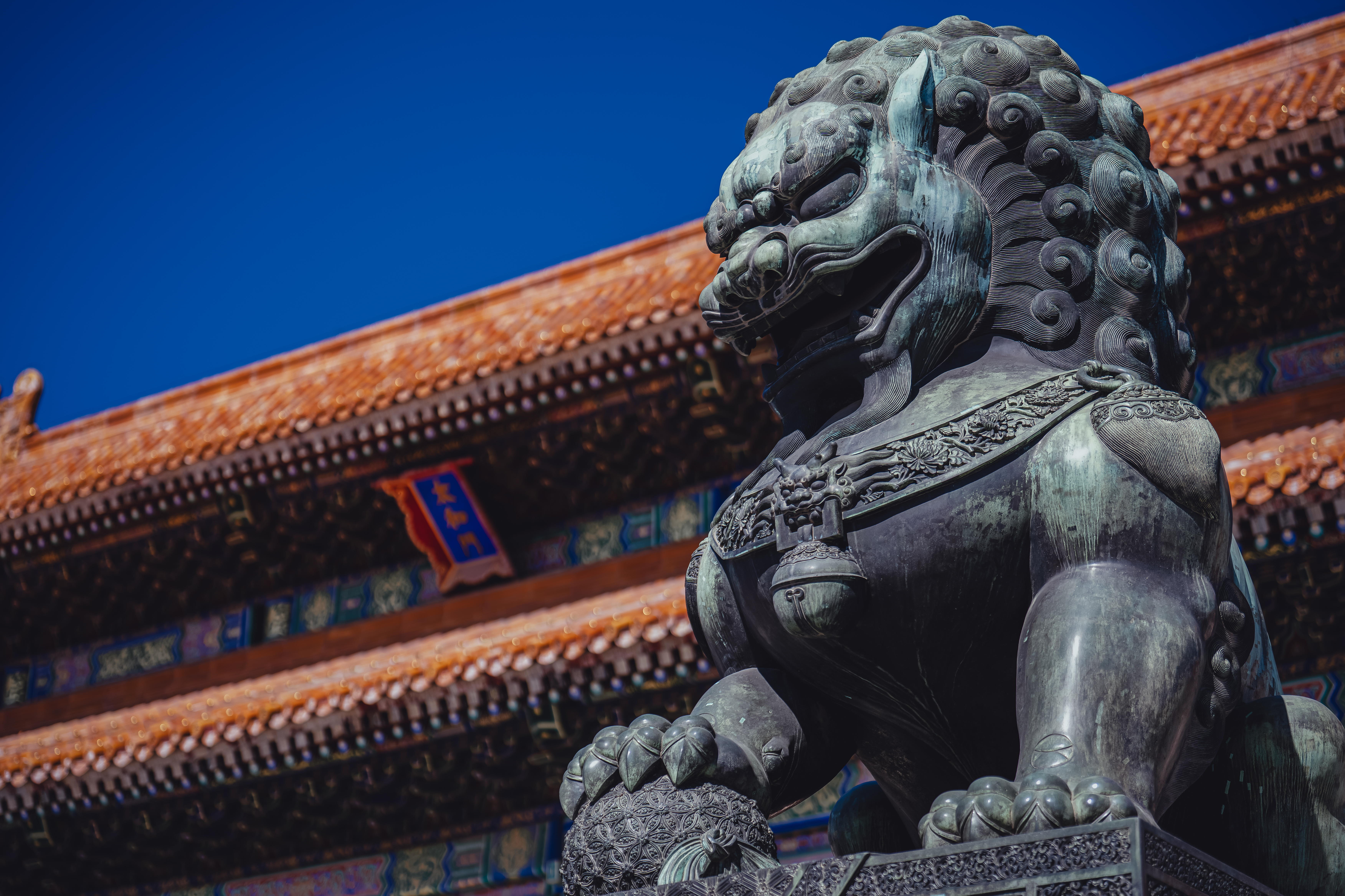 ���ᾭ�����-�����ĸɾ���Ƭ��