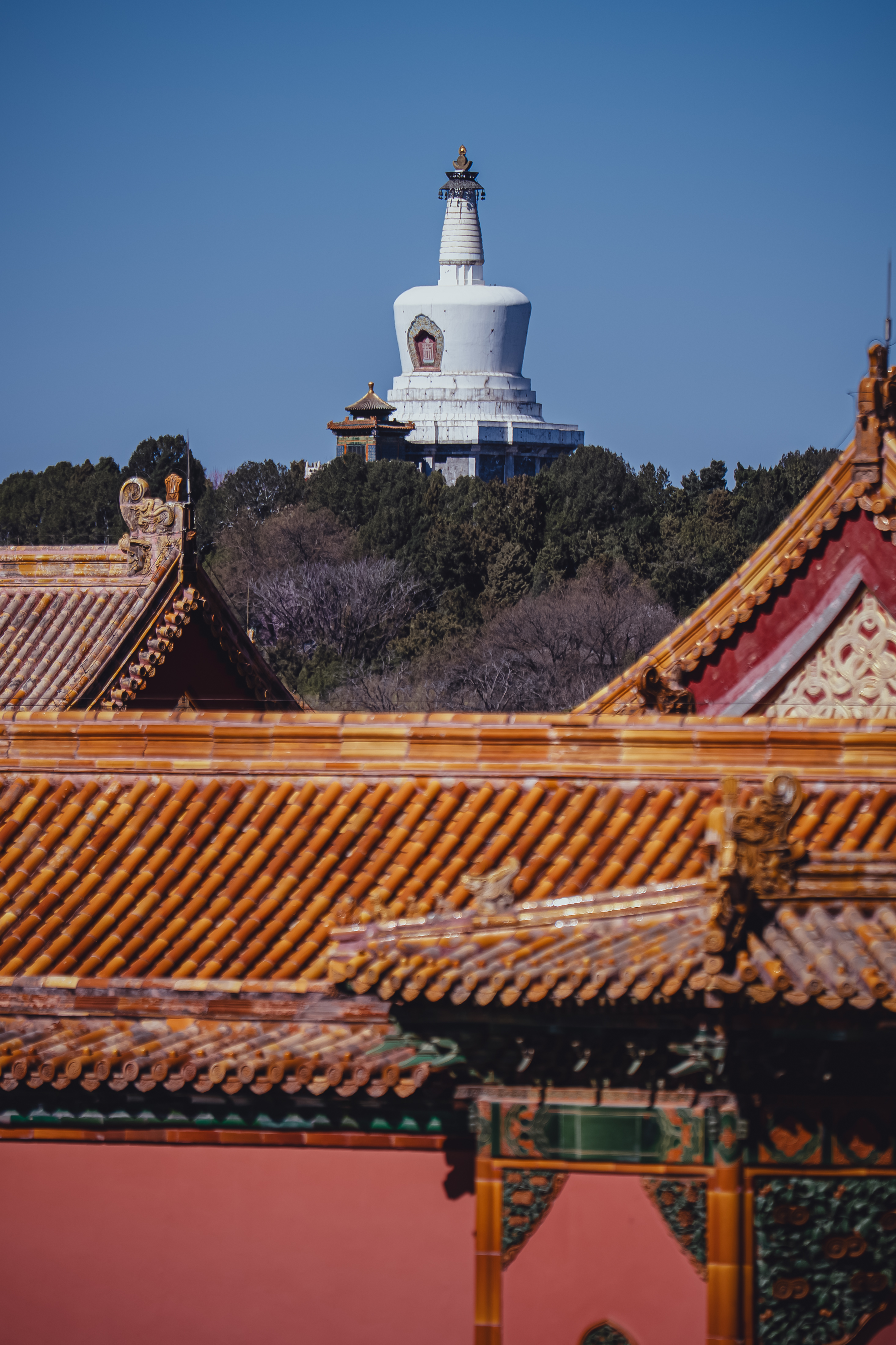 ���ᾭ�����-�����ĸɾ���Ƭ��