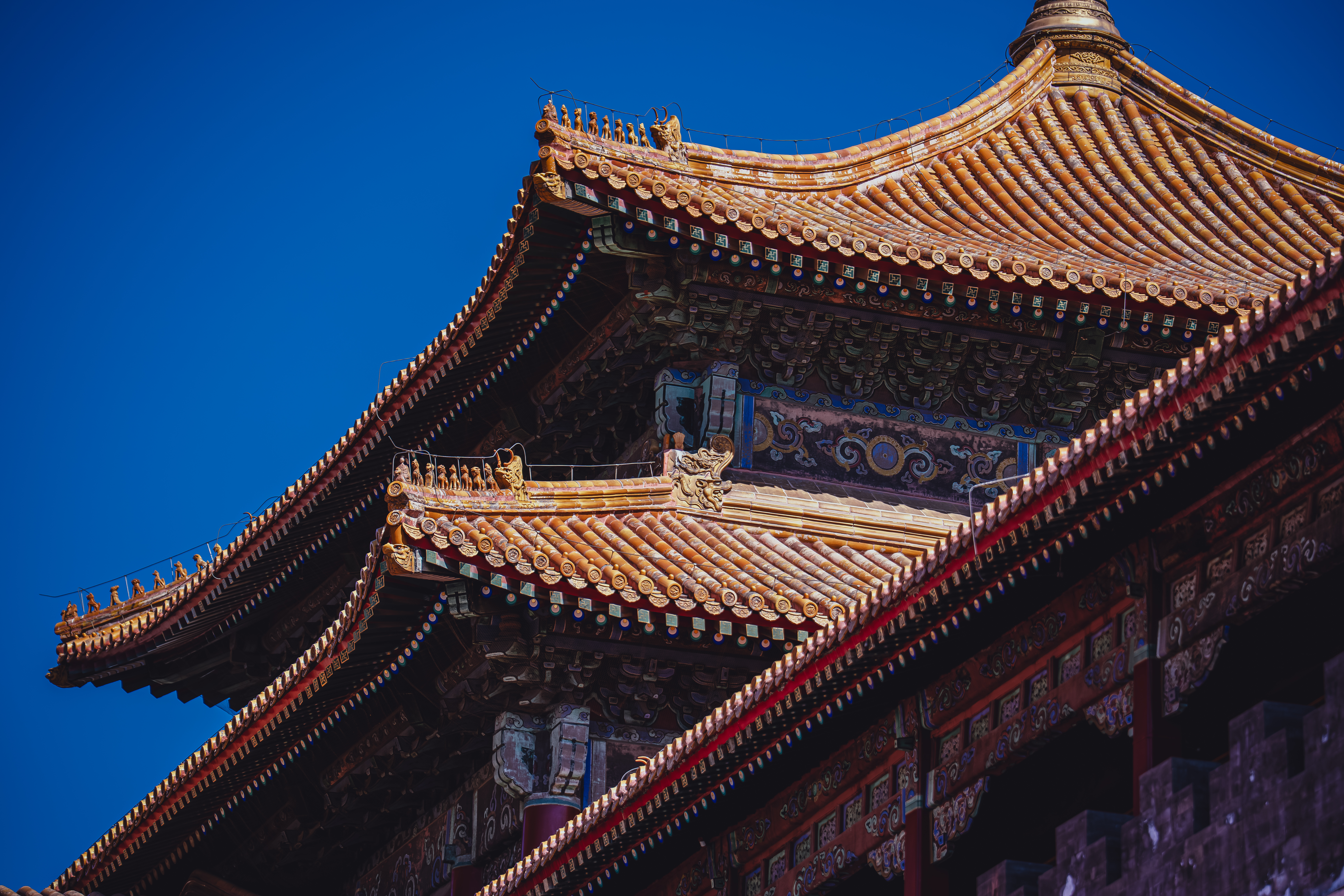 ���ᾭ�����-�����ĸɾ���Ƭ��