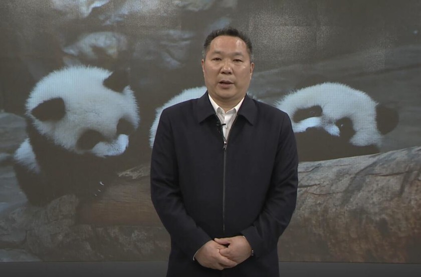 “大熊猫与自然”雅安摄影展 在线新闻发布会