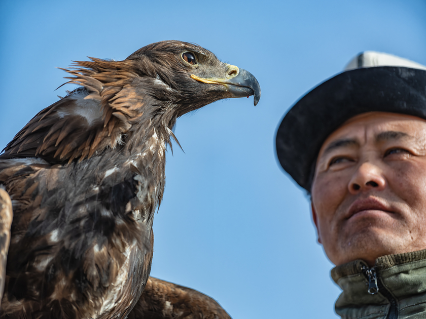 南疆寻秋--以亿级像素与16bit色深刻画南疆的雪山、沙漠与胡杨 南疆寻秋--以亿级像素与16bit色深刻画南疆的雪山、沙漠与胡杨