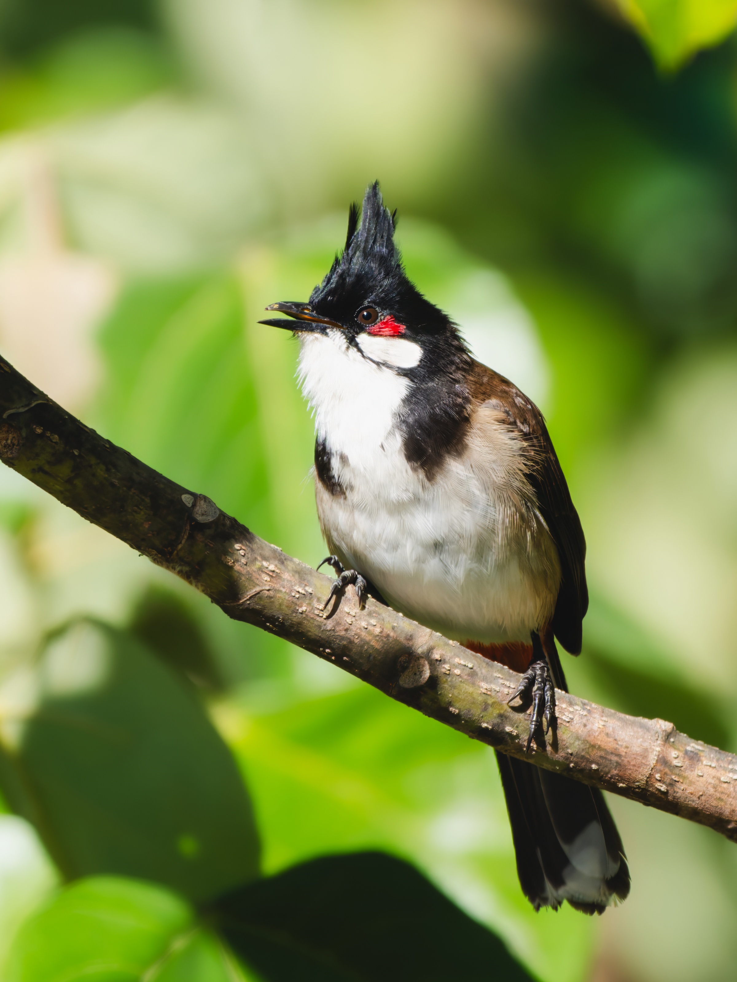 GFX100IIī���У����л���֮�ۣ���׽�ؾ���������