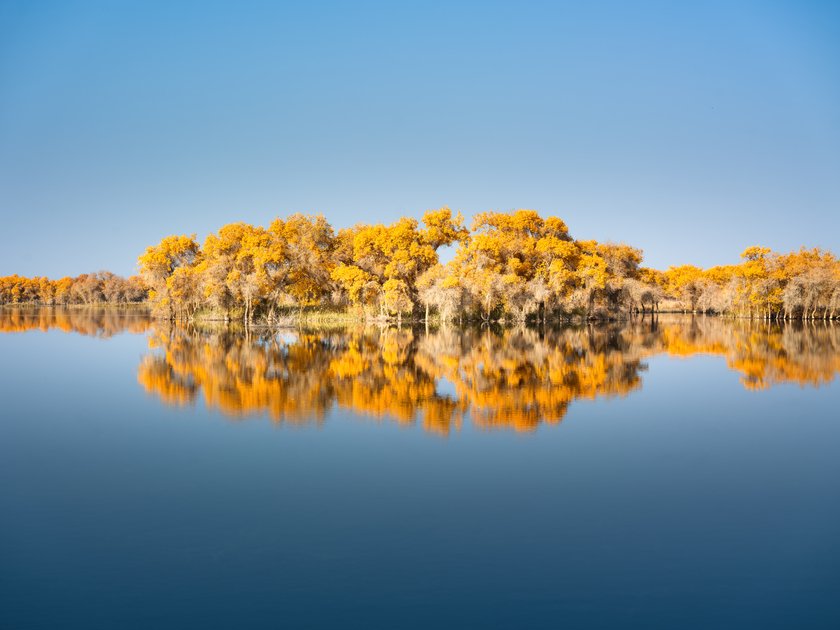 南疆寻秋--以亿级像素与16bit色深刻画南疆的雪山、沙漠与胡杨 南疆寻秋--以亿级像素与16bit色深刻画南疆的雪山、沙漠与胡杨