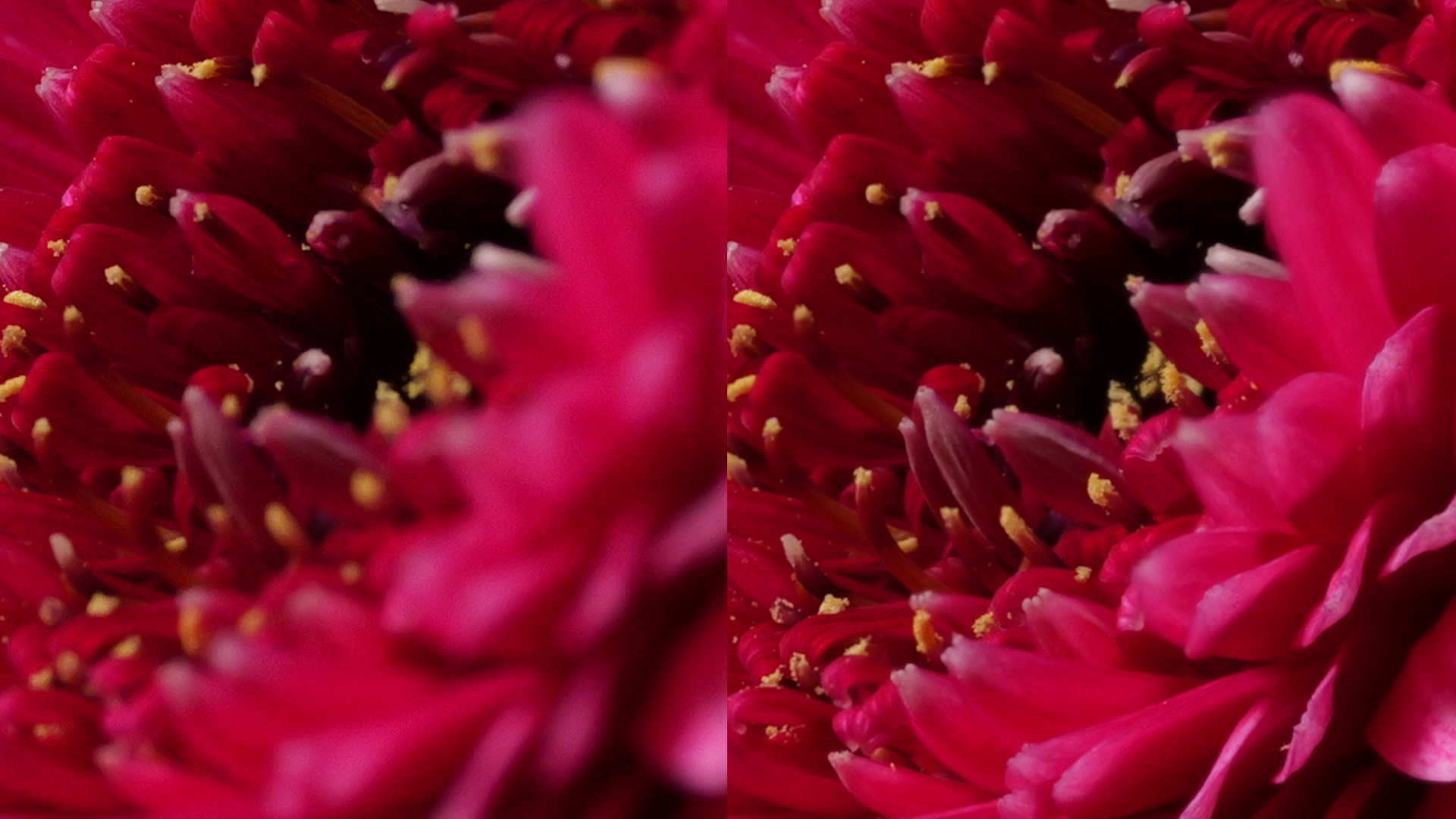 LUMIX S1RM2S1M2S1M2Eȫ΢¹̼