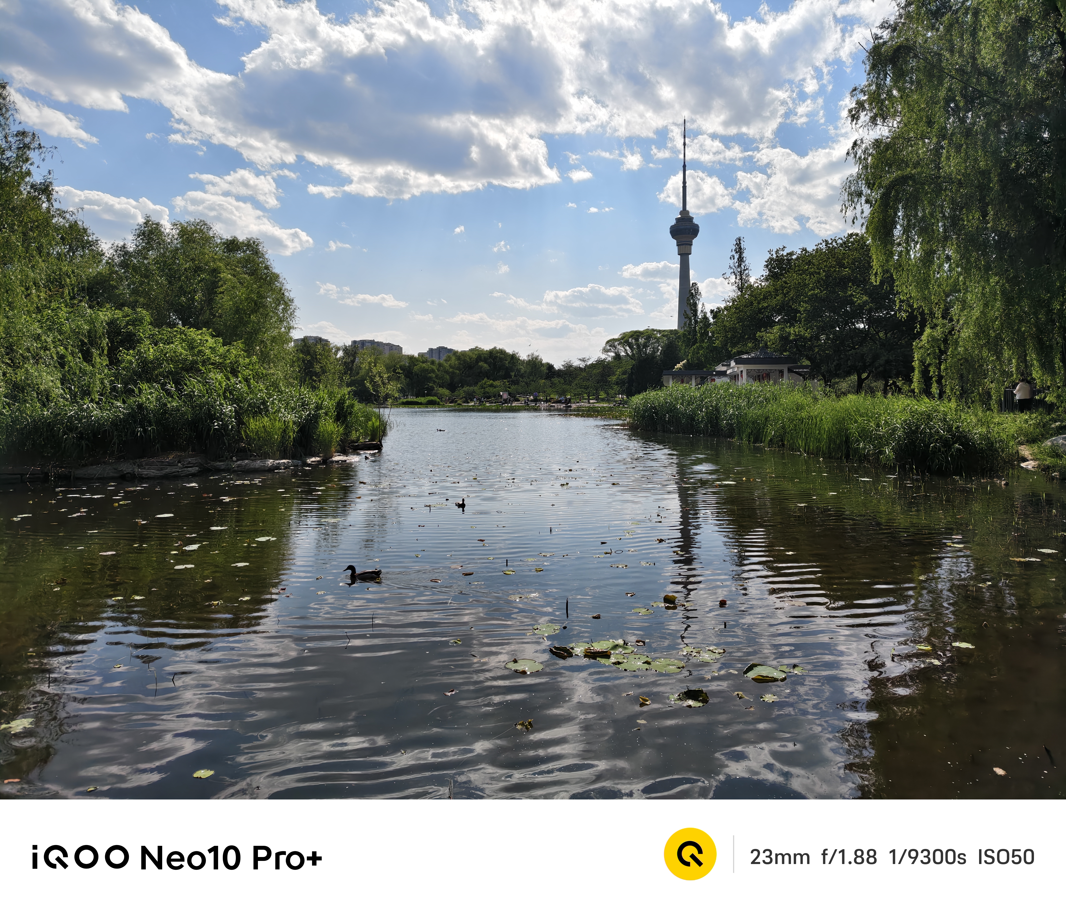  8 ˫о+2Kӳ iQOO Neo10 Pro+