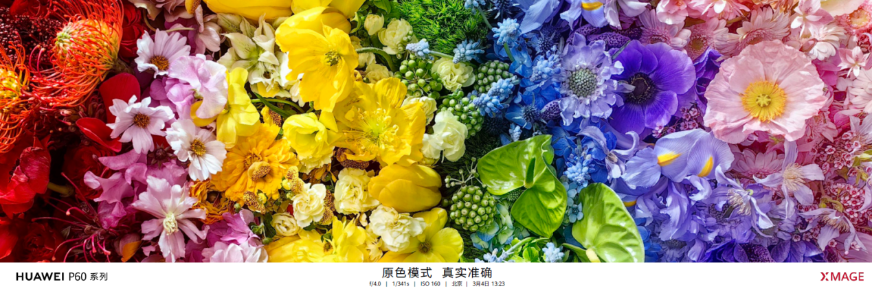 ӰԳһɵĻΪӰXMAGEɵ