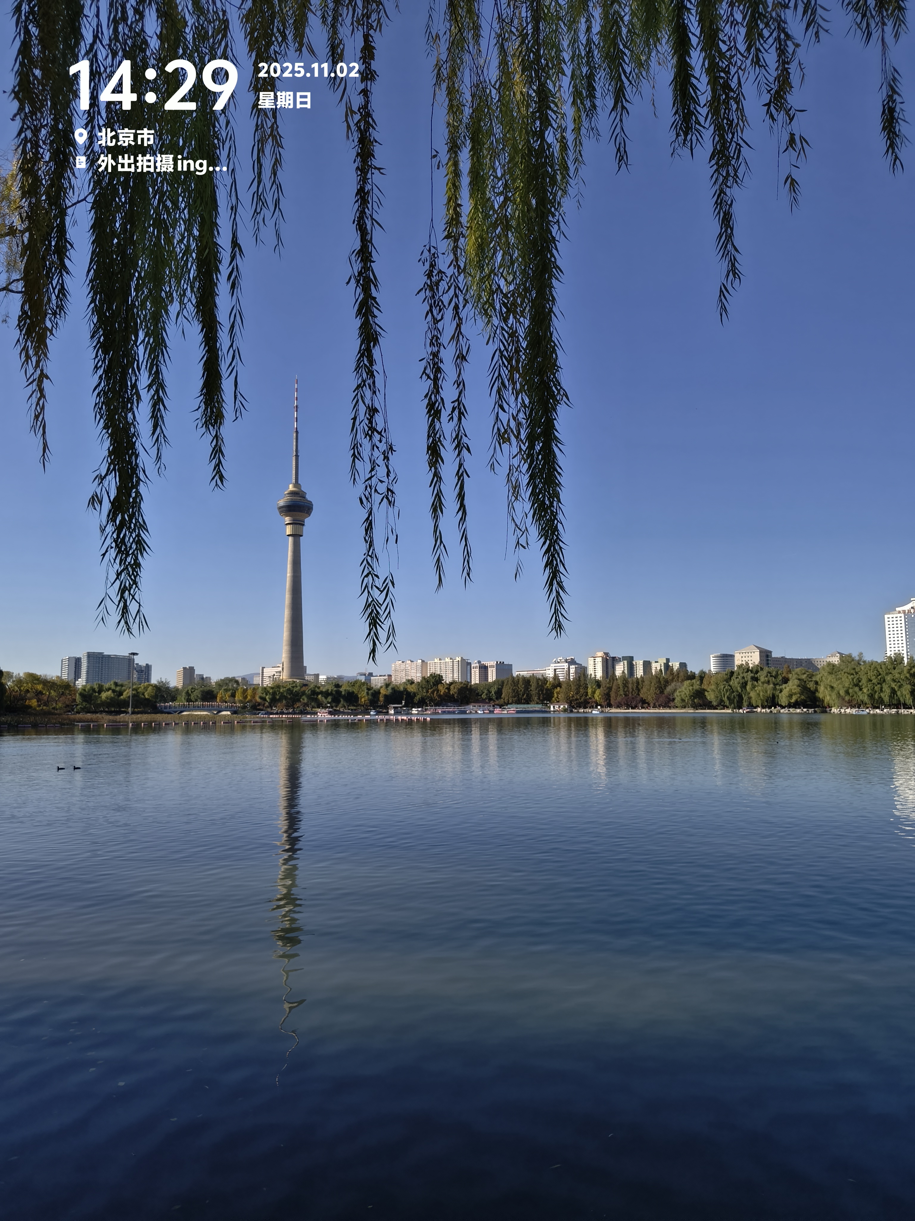 ��2�������������¶������С�콢 vivo Y500 Pro����