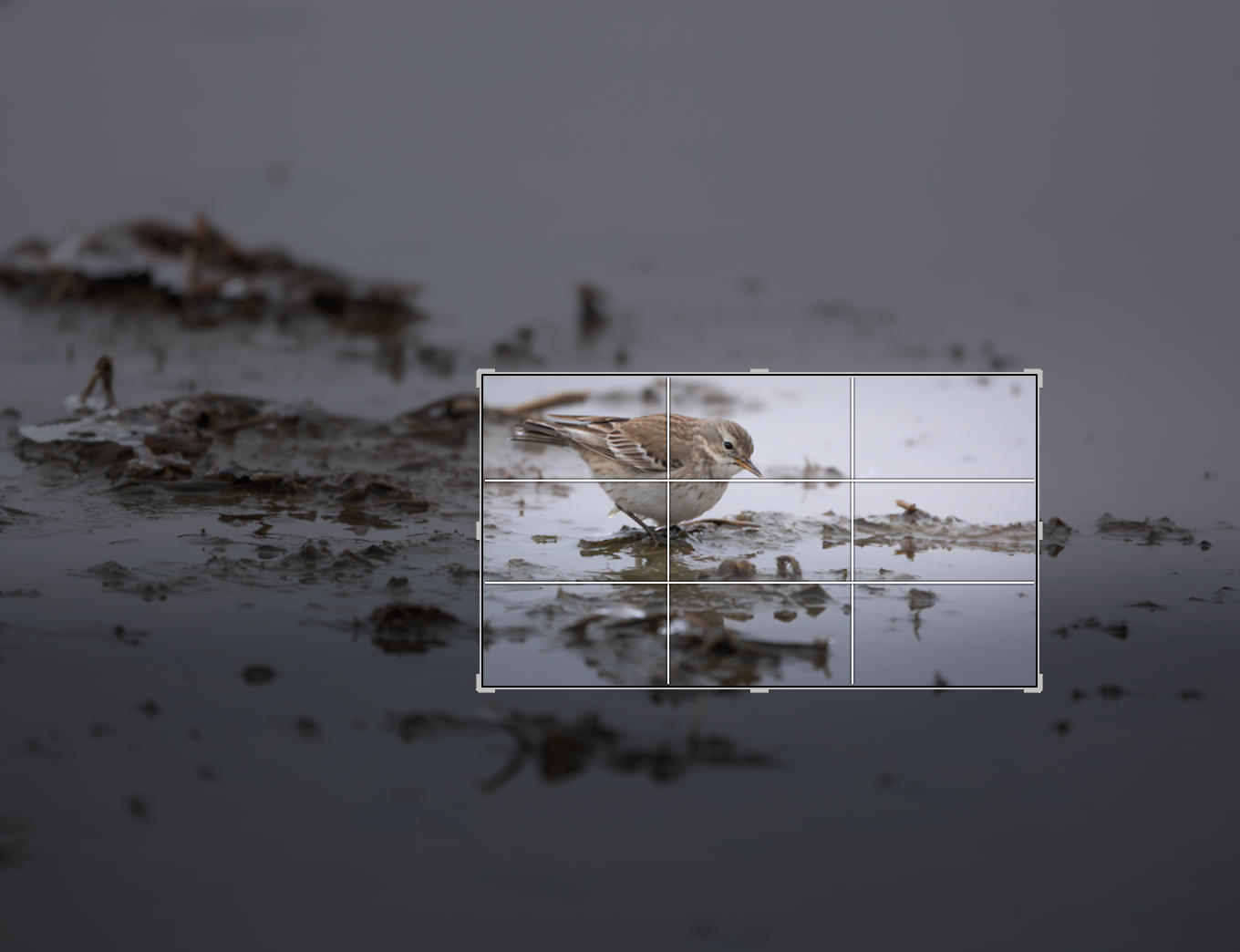 ��ʿGFX1OOII���������۶������ǧ��֮Լ