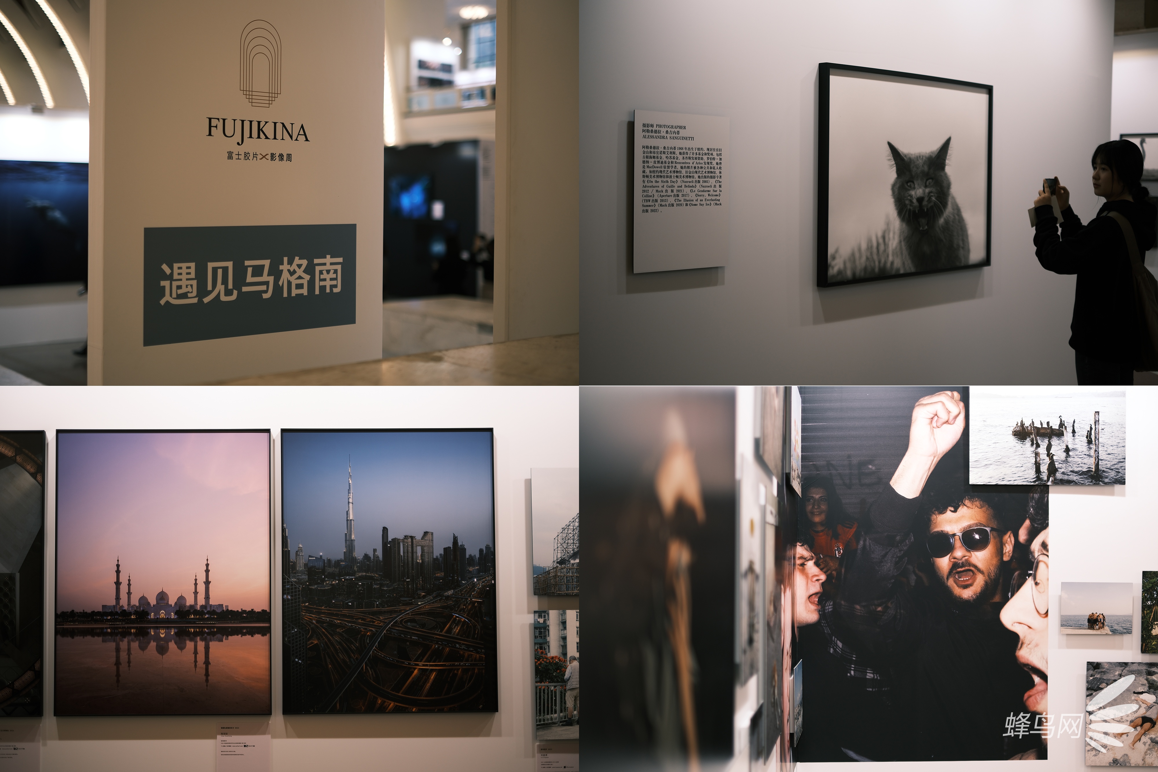 ¡ضʢ FUJIKINA ʿƬӰϺ