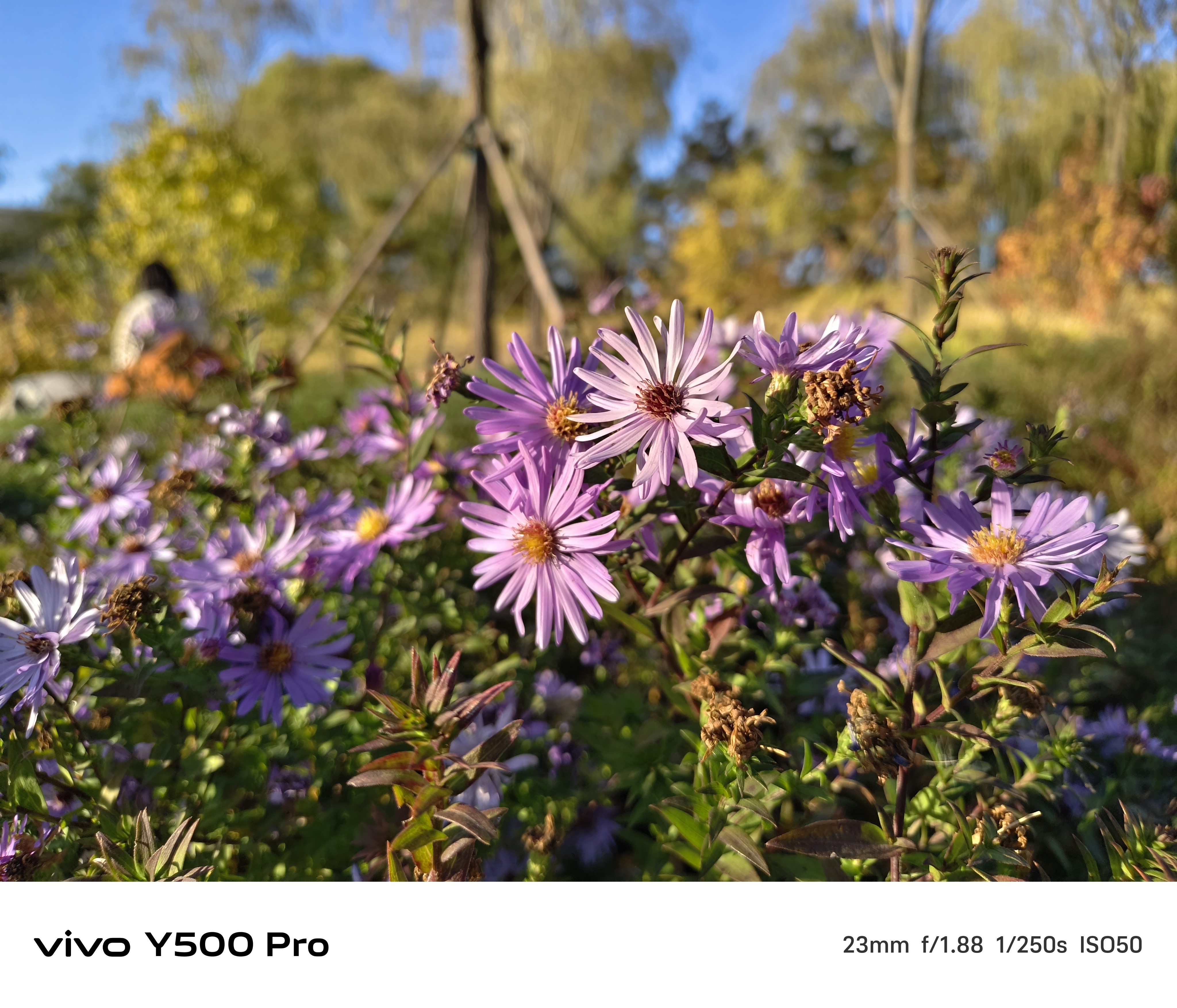 ��2�������������¶������С�콢 vivo Y500 Pro����