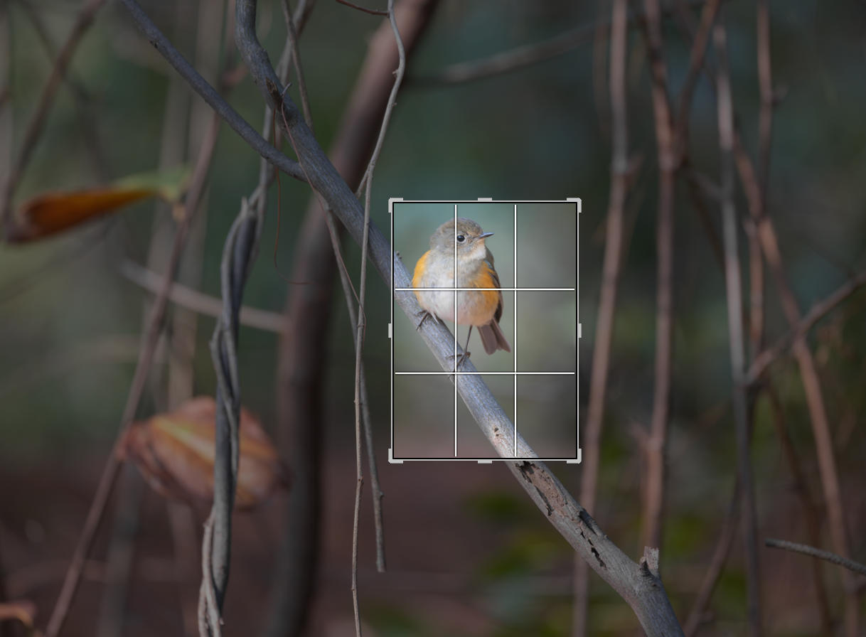 ��ʿGFX1OOII���������۶������ǧ��֮Լ